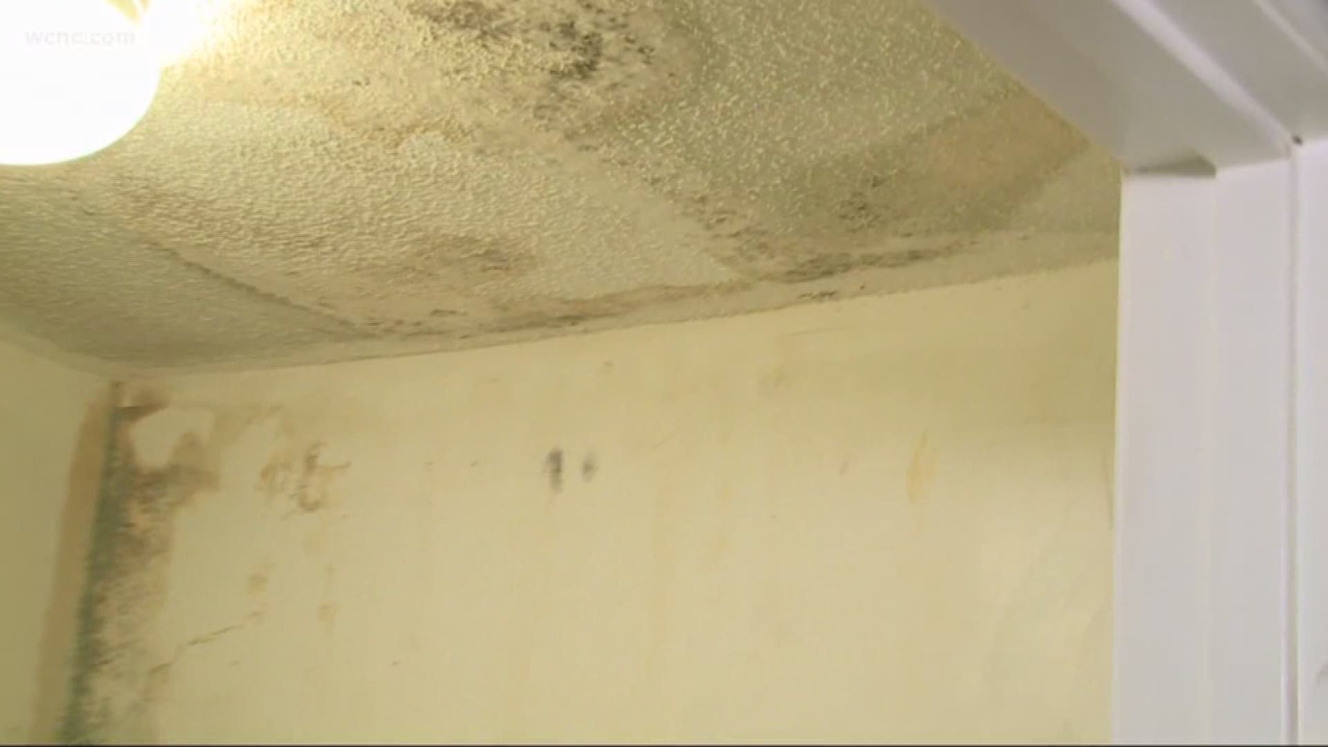 A video shows a laundry room wall covered in mold.