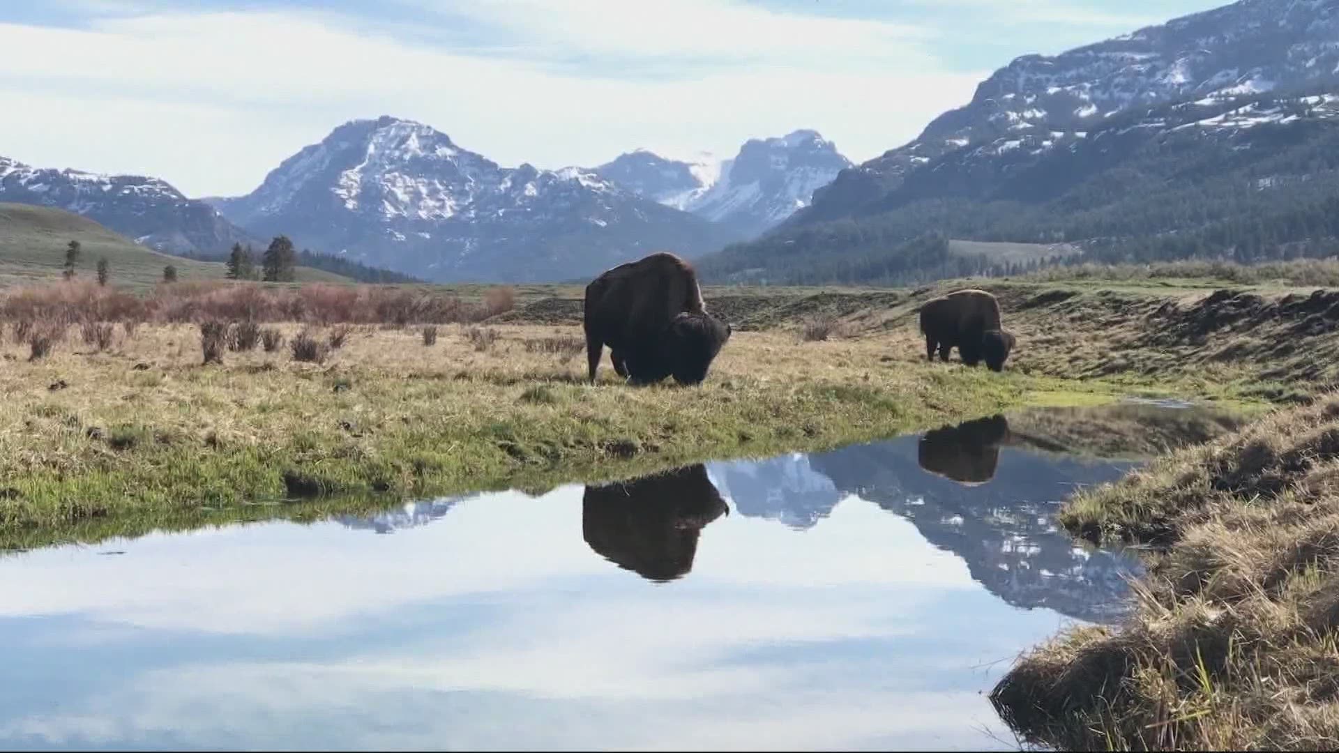 Some of the top travel destinations are places that offer wide open spaces, places like Montana and Yellowstone.