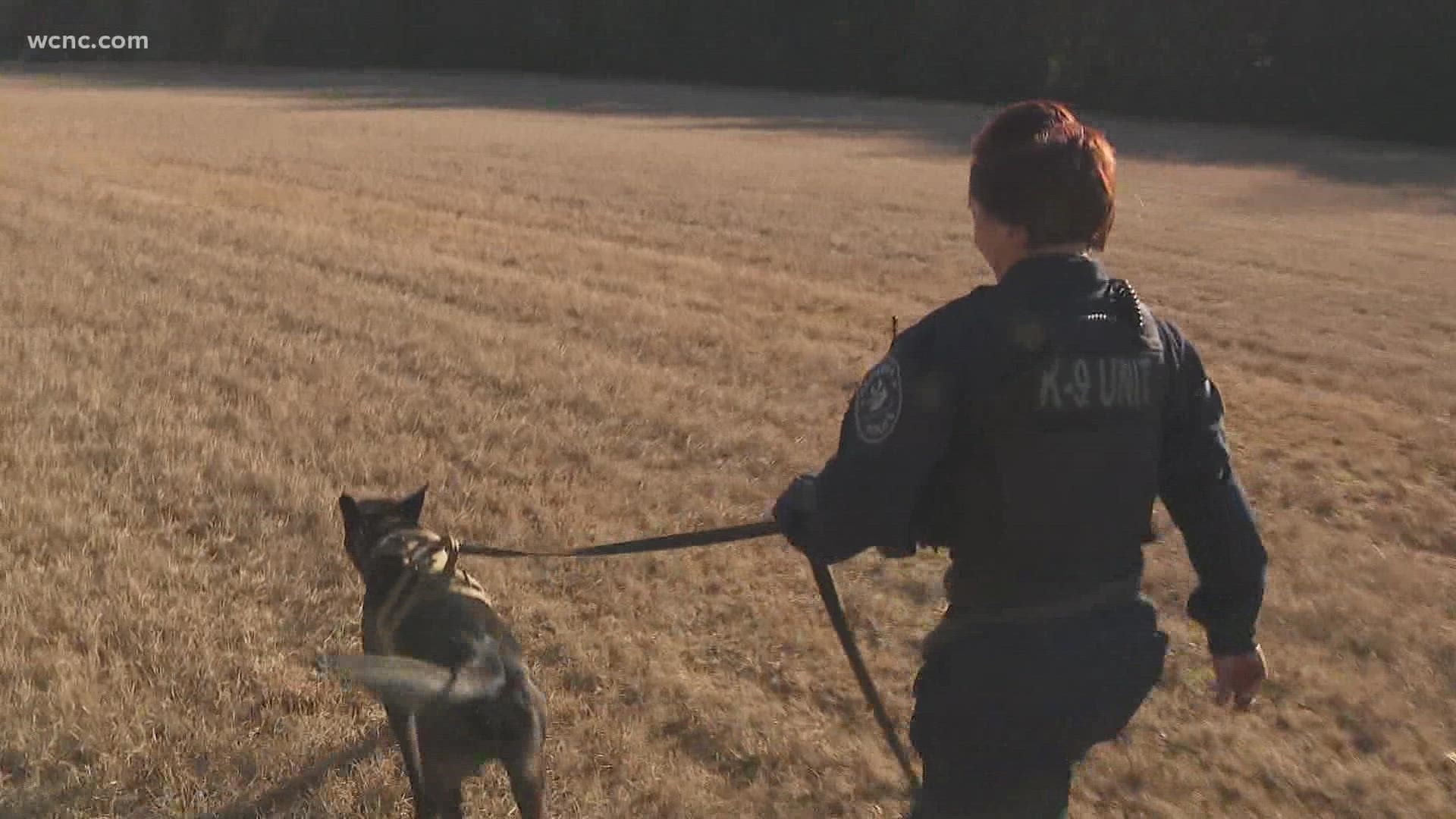 K9 Handler Nikki Warlick and K9 Koda are currently training to track the scent of a missing person or suspect.