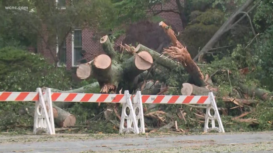 A busy intersection in Myers Park will be closed during Monday's commute due to a downed tree from severe thunderstorms over the weekend.
