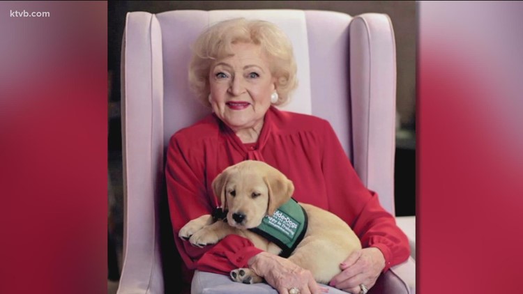 Thousands donate to animal shelters in honor of Betty White's birthday