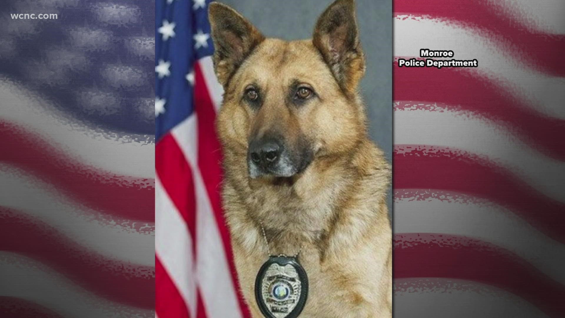 K-9 officer, Narco, is being praised after tracking and locating a suspect back on Sept. 10.