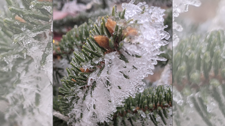 This Warm Layer Of Air Can Bust A Winter Weather Forecast | Wcnc.com