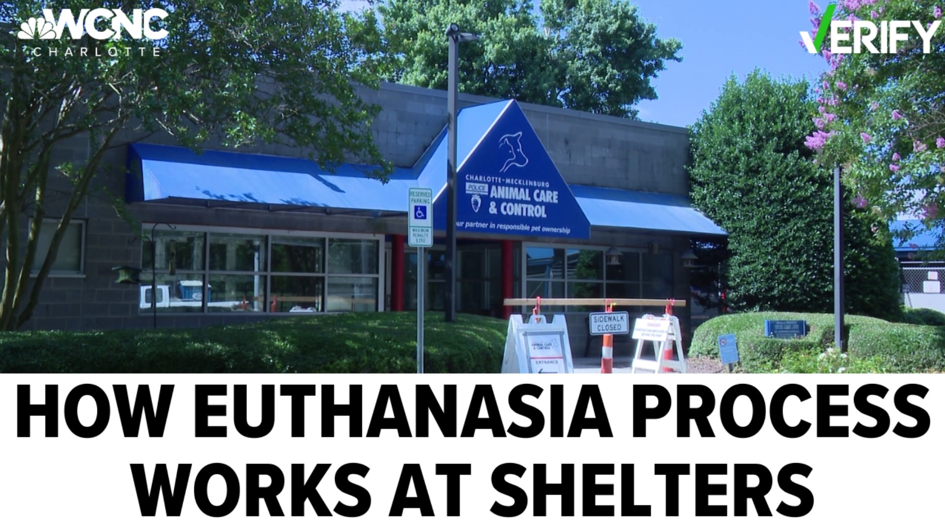 According to North Carolina law, shelters are required to hold a stray animal for at least 72 hours, allowing the owner time to reclaim it.