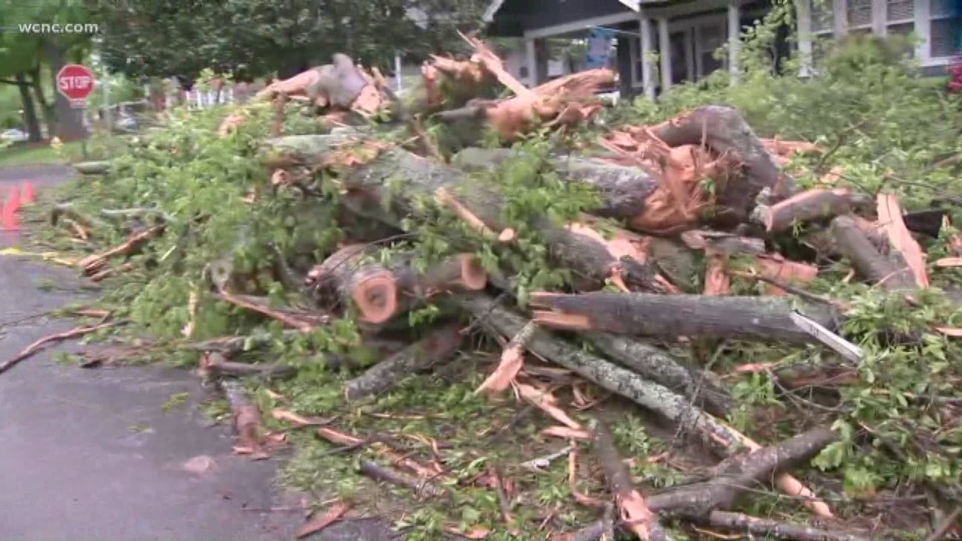 People across the Carolinas are working to clean after storm damage Friday. In Lincolnton, a tree fell onto a jeep.