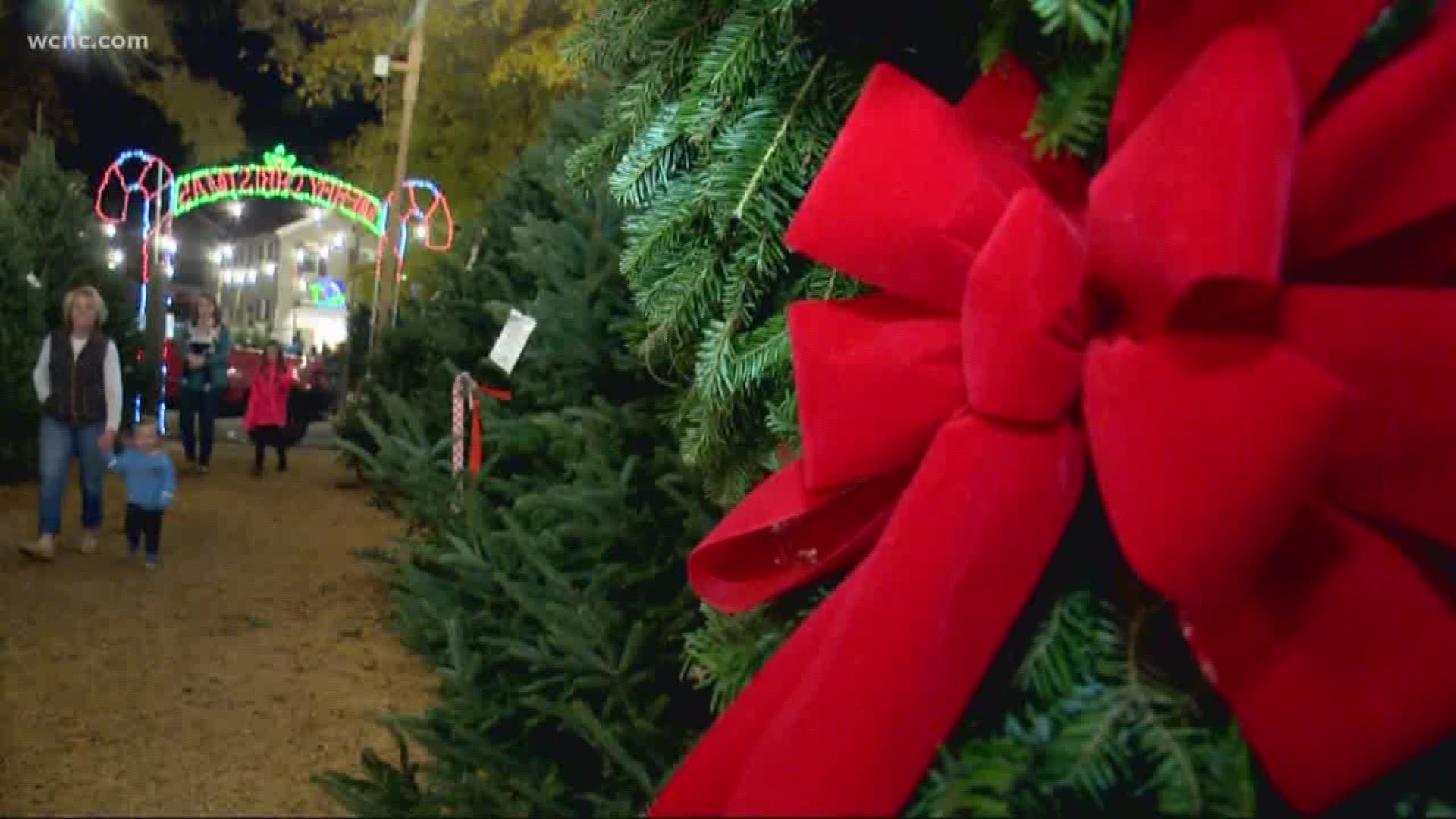 Customers may see about a 10 percent increase in the cost of trees this year.