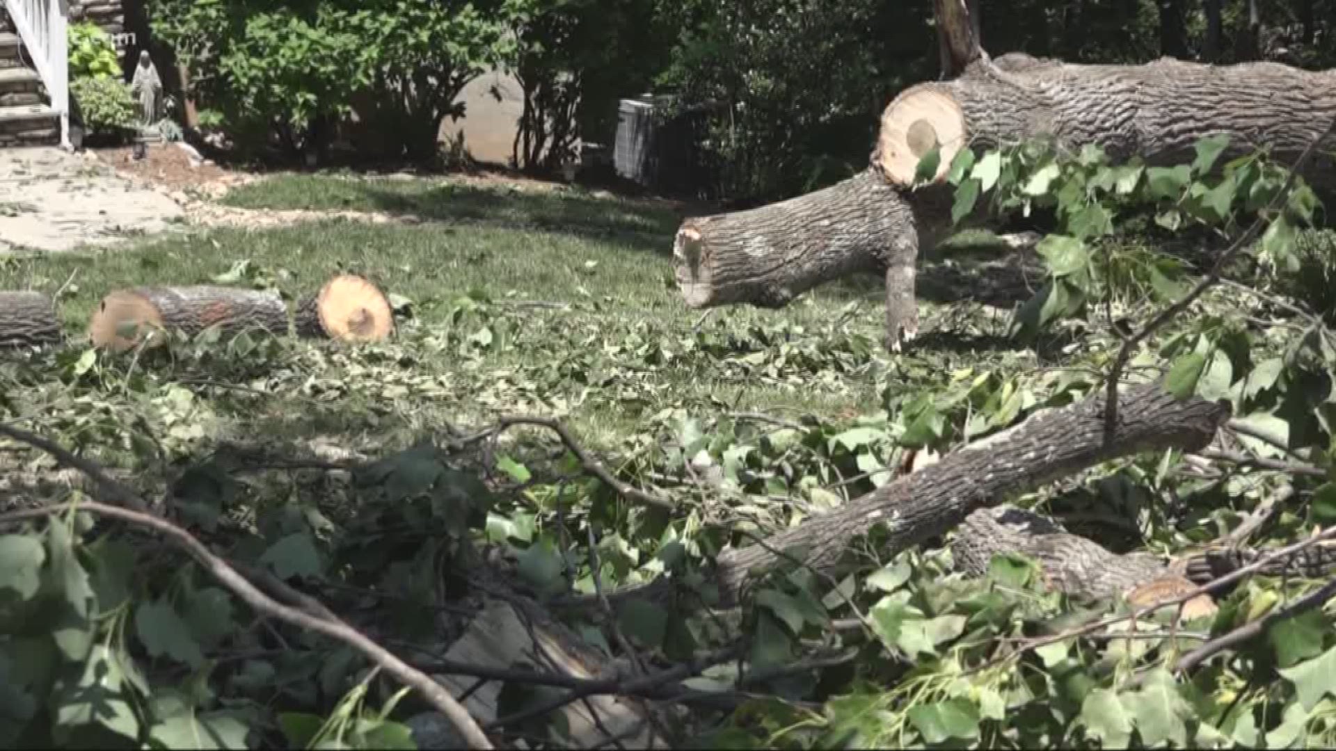 The cleanup is underway in Iredell County after a microburst hit Mooresville taking down several trees.