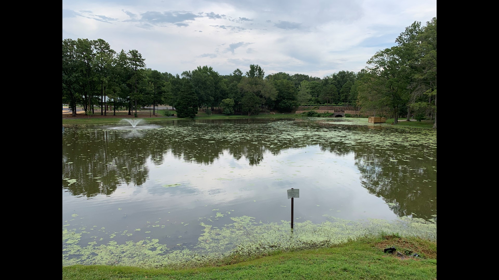 Charlotte ponds tested for deadly bluegreen algae killing dogs