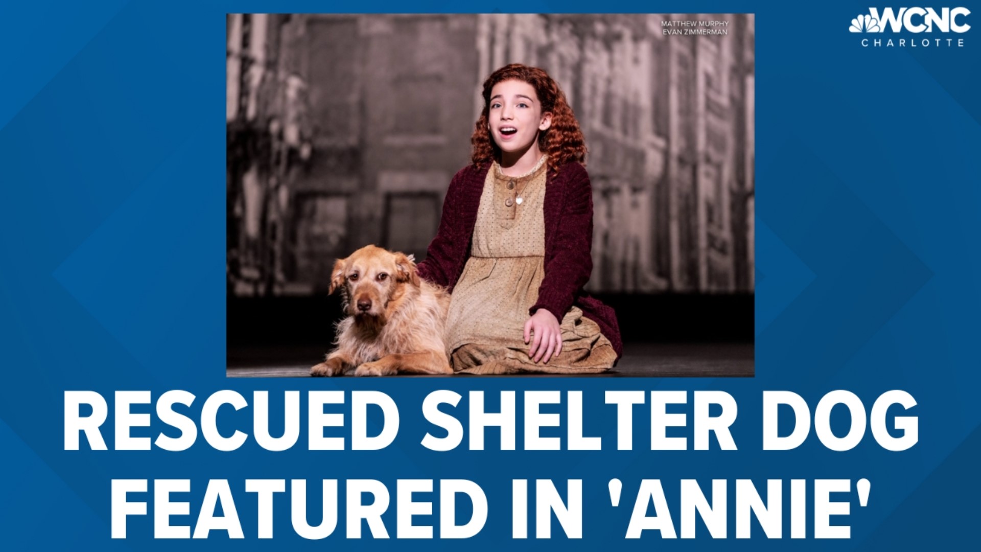 Dogs playing the beloved Sandy character in the national tour have traditionally been rescued shelter dogs.