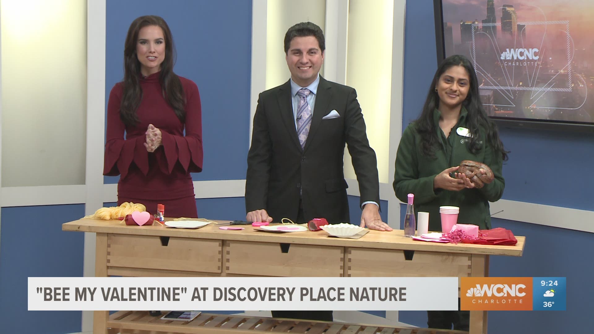 Show your love for the resident animals of Discovery Place Nature by creating enrichment valentines for them.