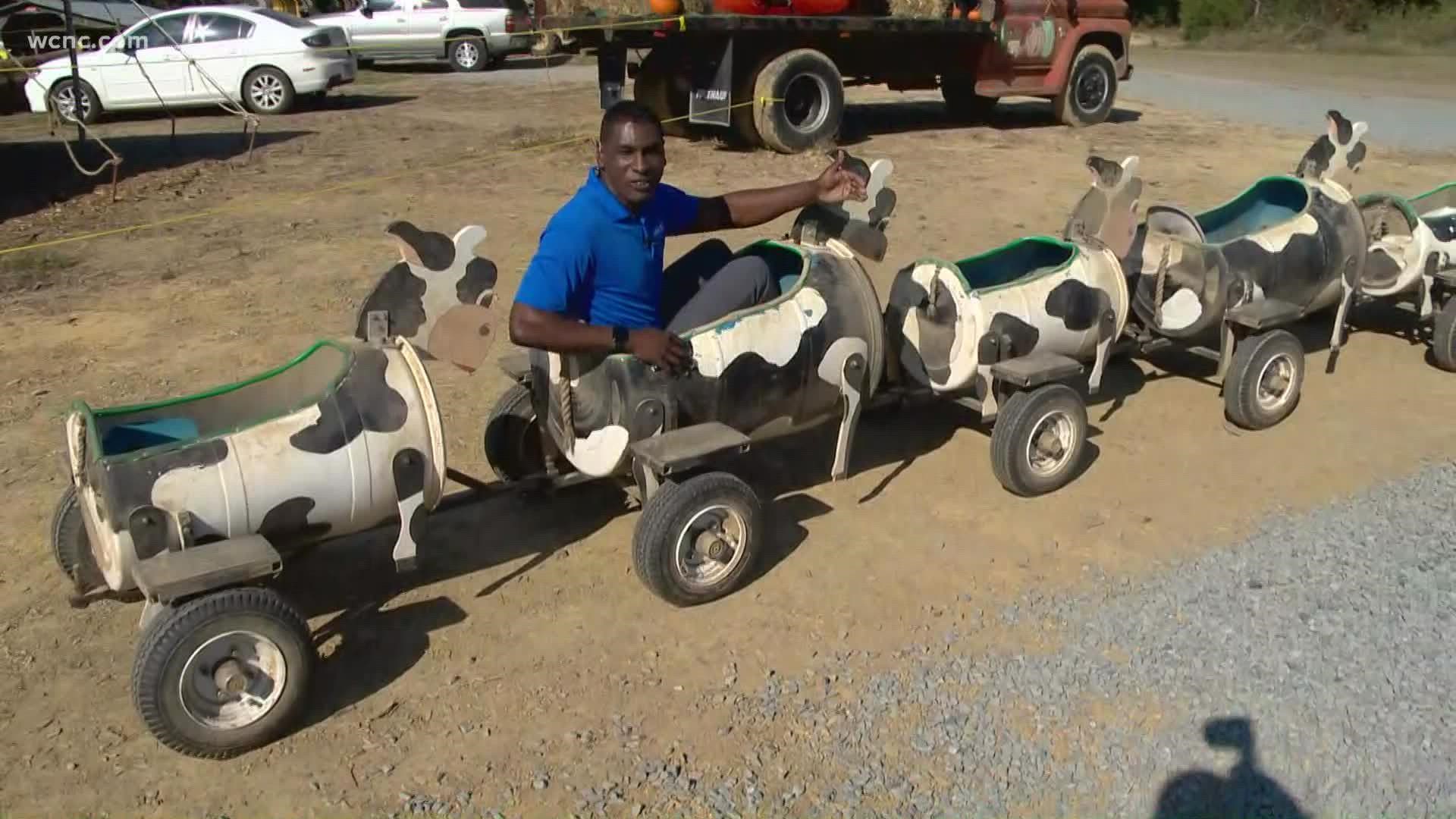 KJ Jacobs rides the cow train at Country Days Corn Maze.