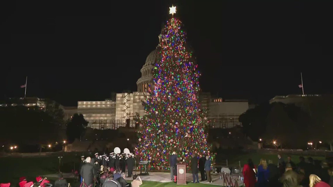 U.S. Capitol Christmas tree lighting