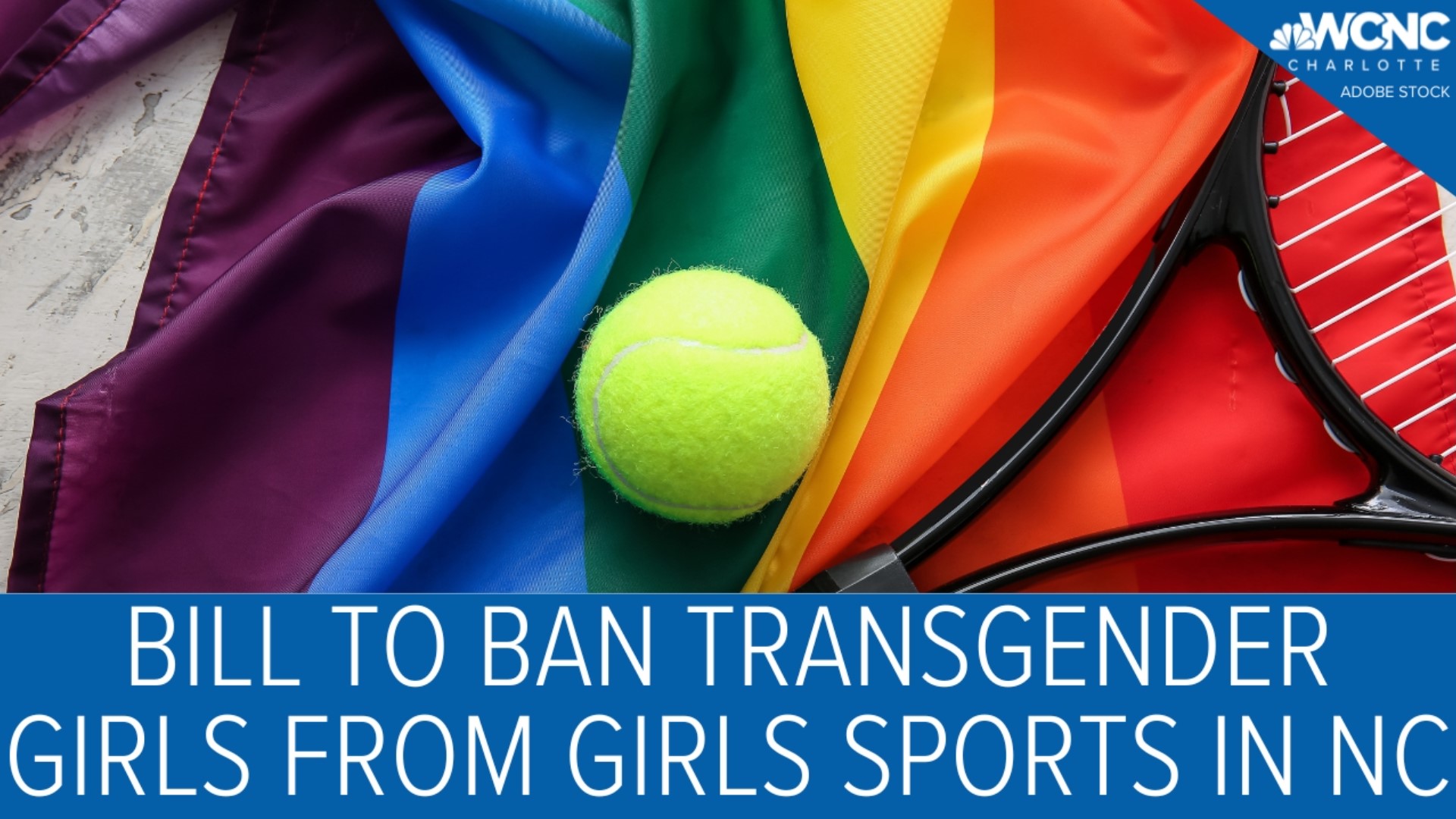 If enacted into law, transgender girls would be prohibited from participating in sports that correspond with their gender identity.