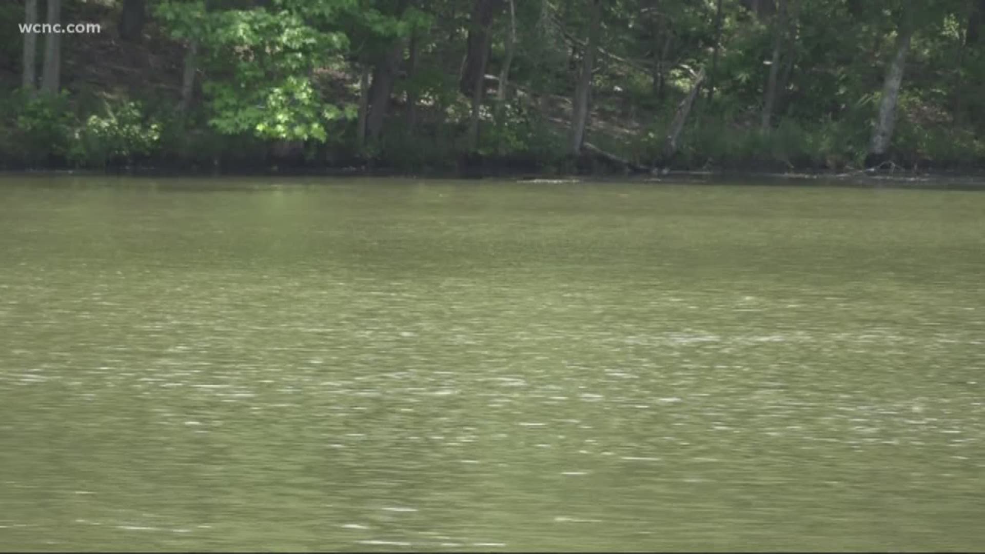 We've talked to people in Albemarle, Concord, and Harrisburg who say they've noticed an odor and funny taste coming from the water.