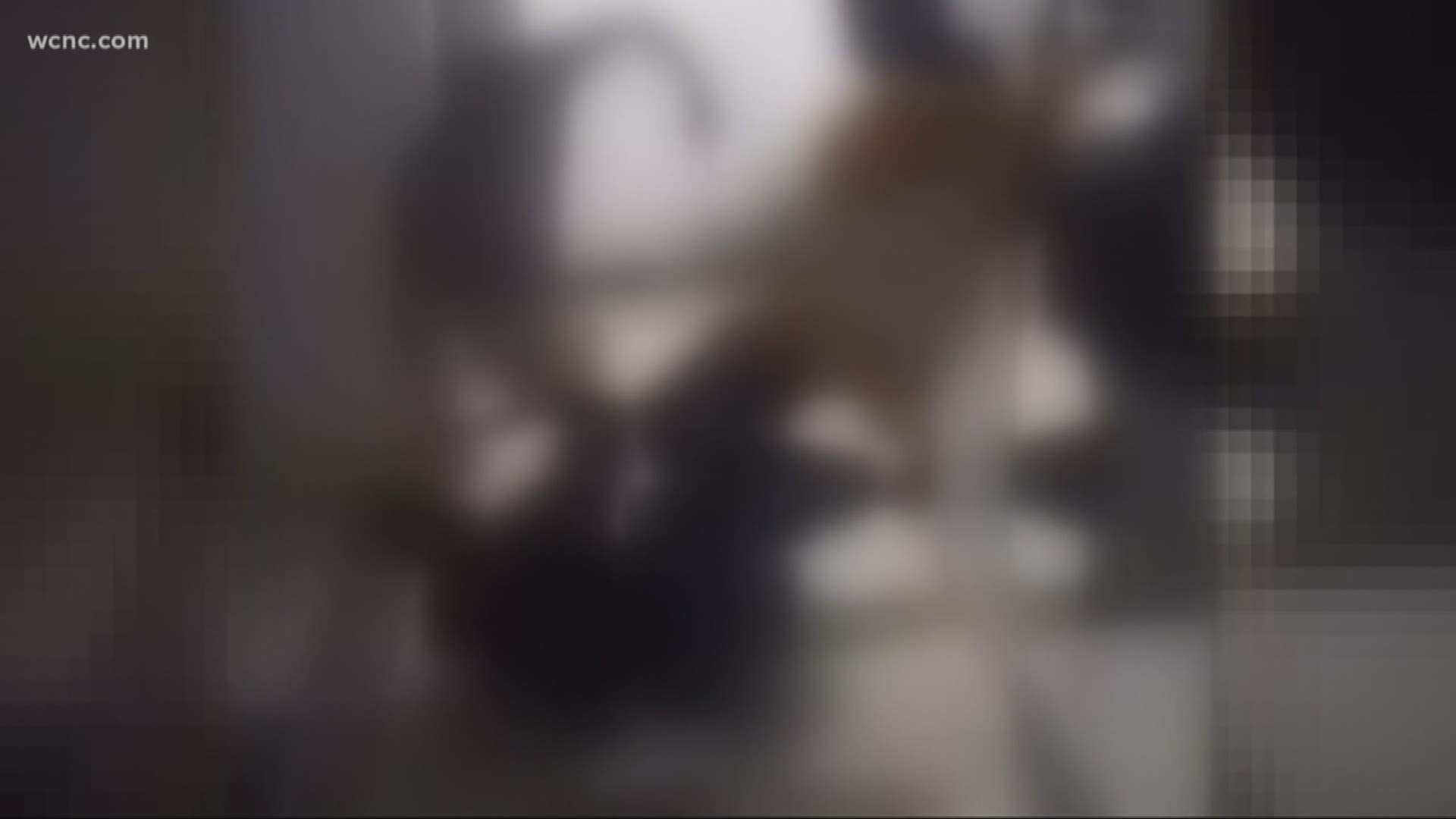 A local teen is recovering after a brutal high school locker room fight that was caught on camera.