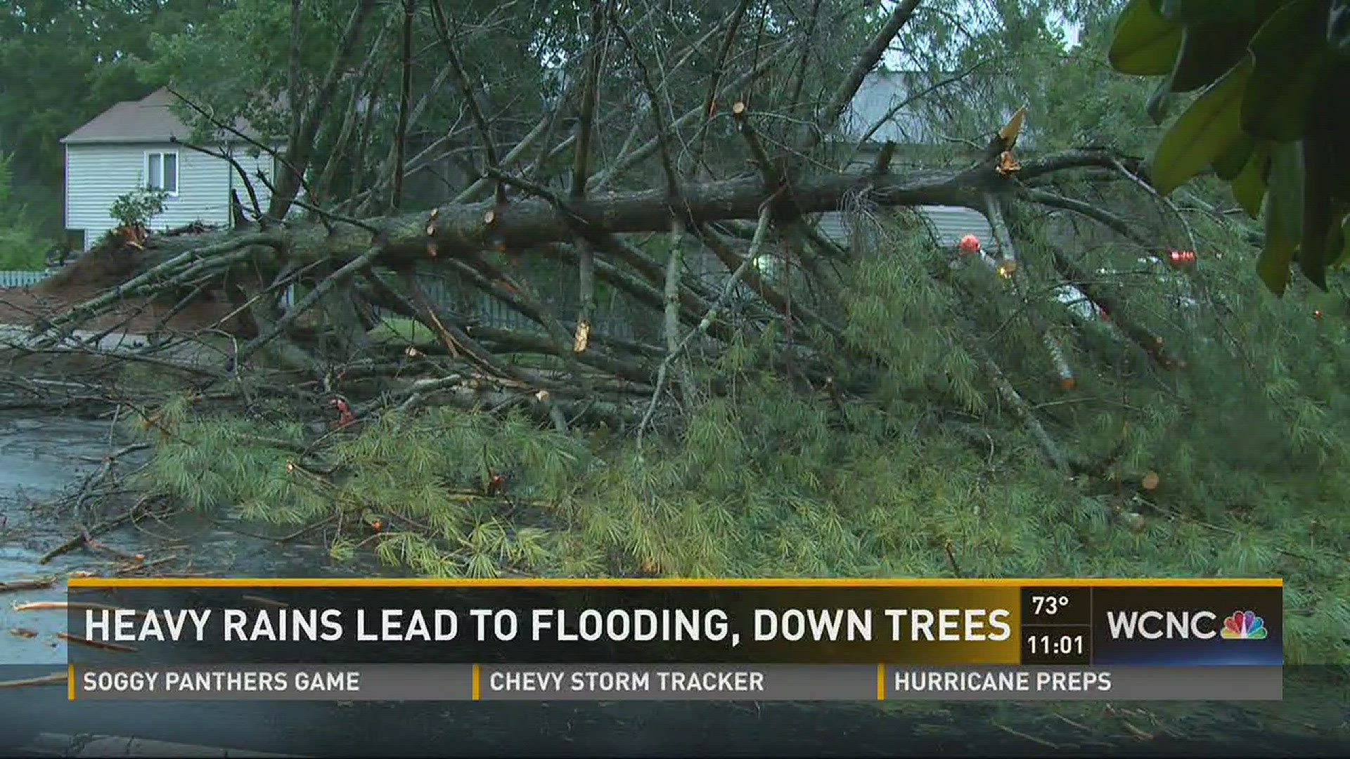 Storms Cause Downed Trees Flooded Streets And Power Outages