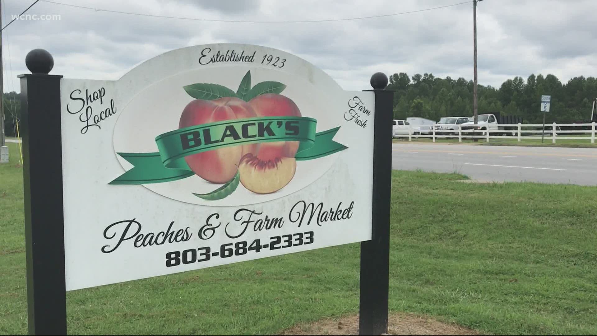 Black's Farm can't take the fruit back, but do hope the people responsible will pay for the peaches taken.