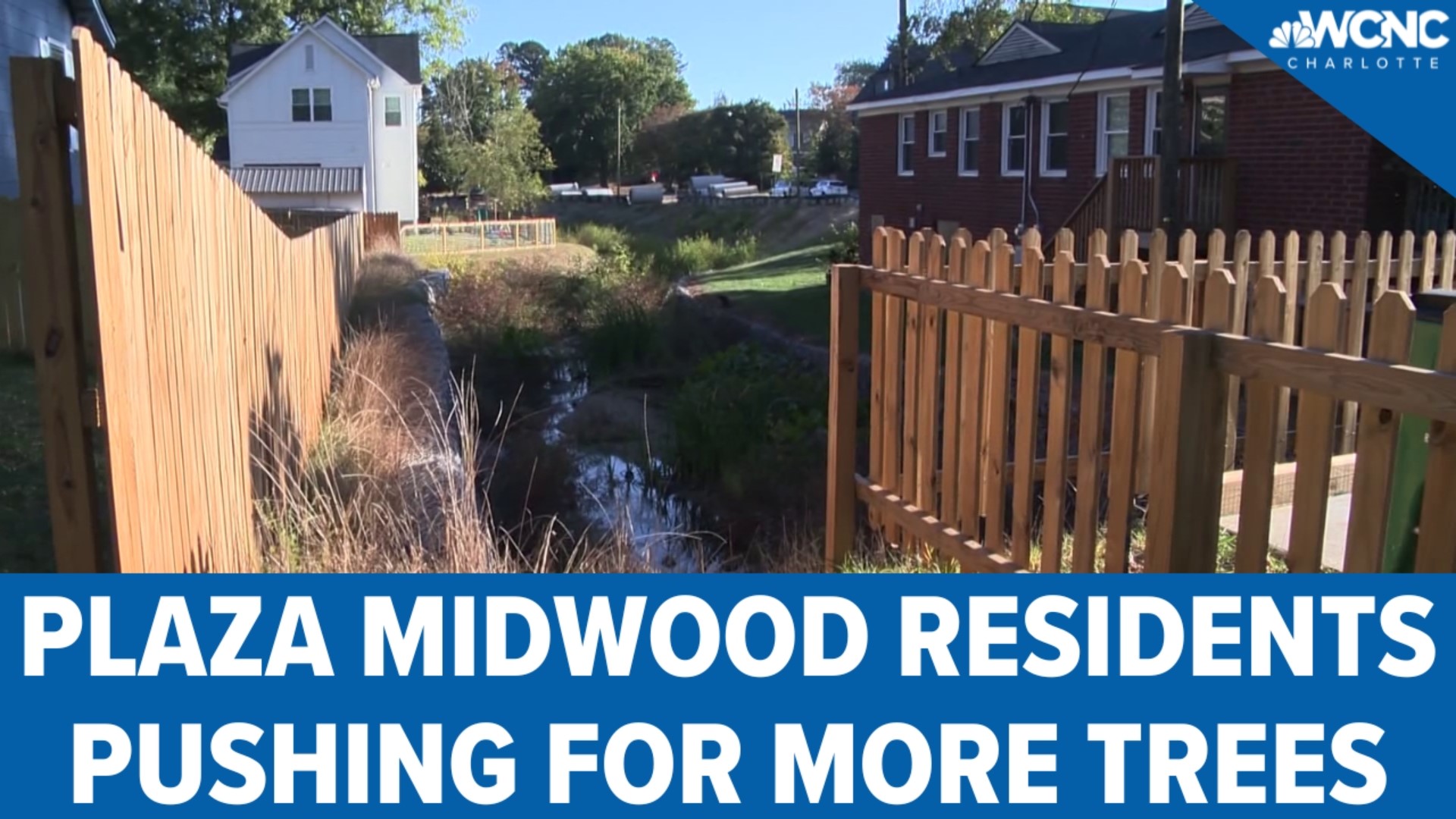 Residents in Plaza Midwood are ringing the alarm after most of the trees in their neighborhood were removed by Storm Water Services.