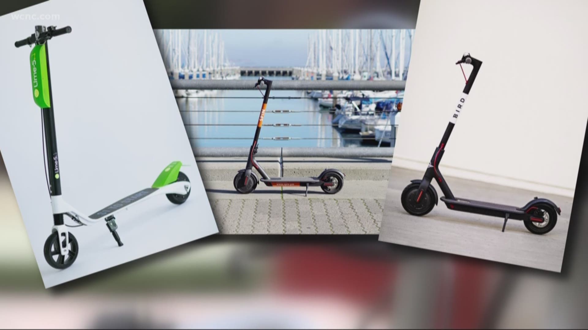 Are dockless scooters coming to Charlotte?