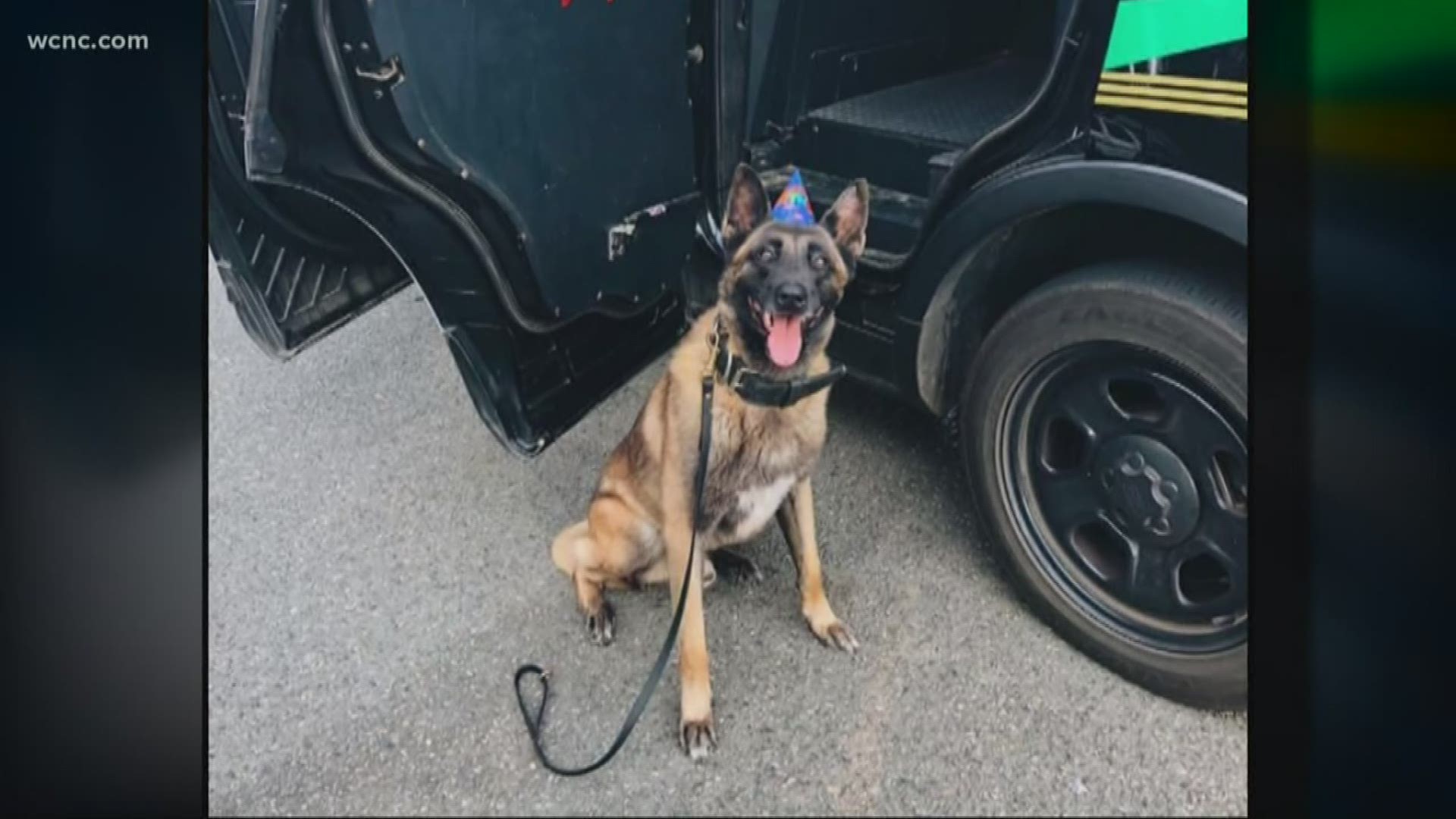 The lawsuit identified the K-9 as Tazz, a six-year-old Belgian Malinois, and his handler as Officer Joseph McNamara.