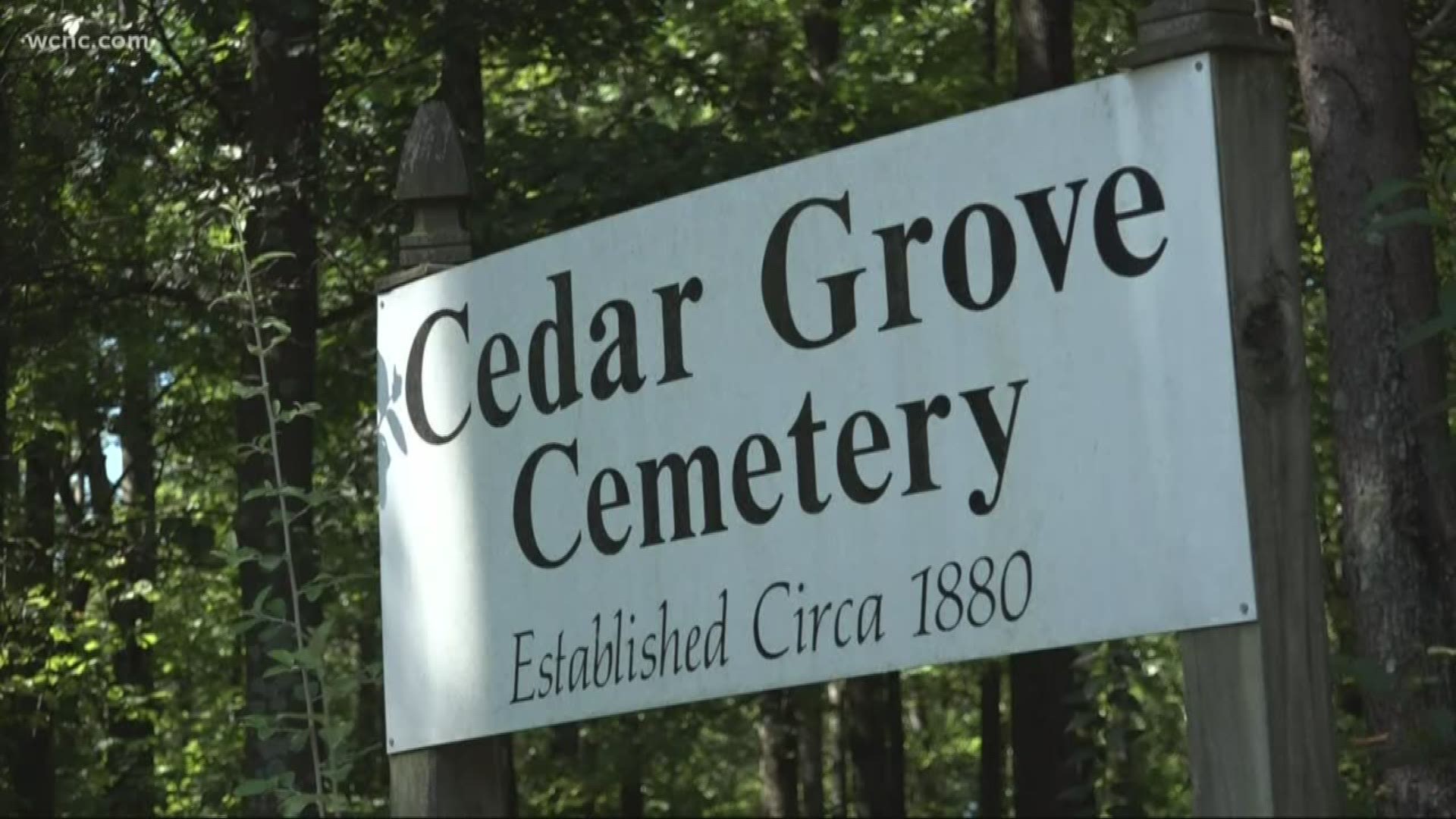 Cedar Grove cemetery has been neglected for so long that weeds are grown over tombstones that are centuries old.