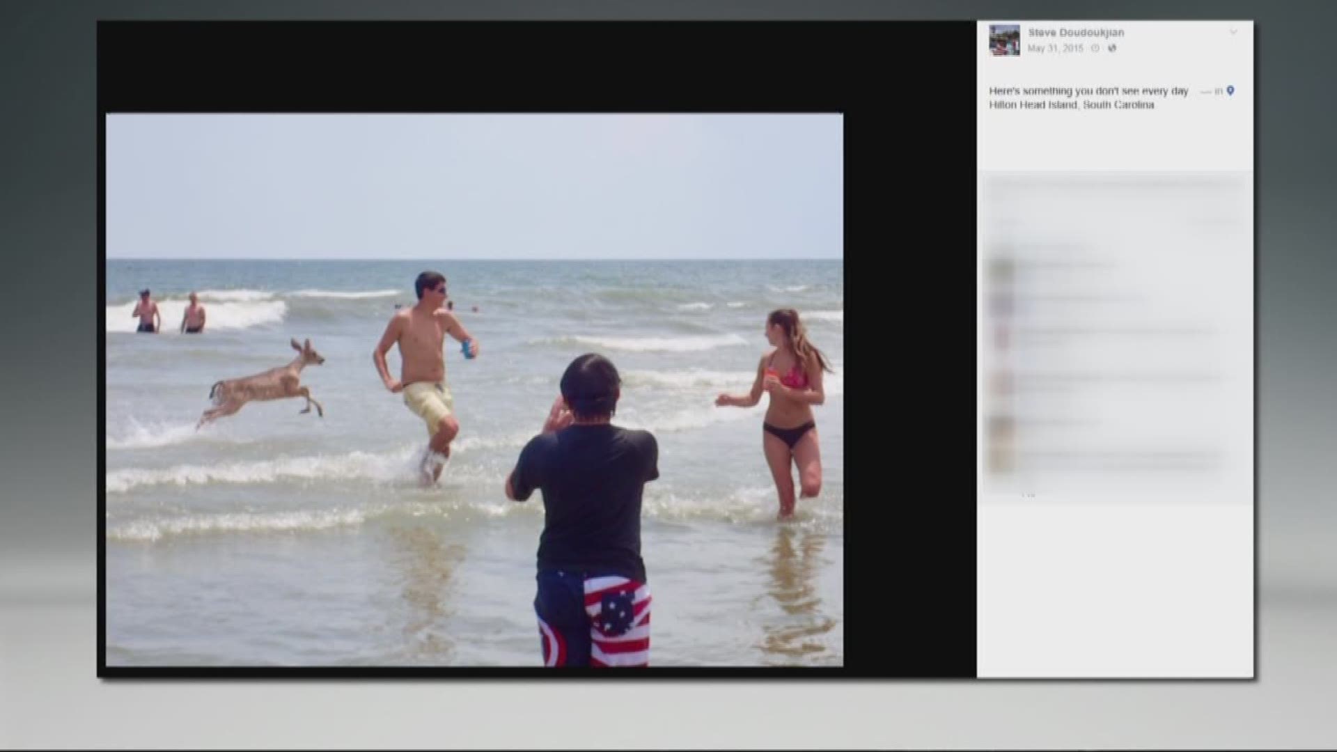 A deer surprised swimmers on Hilton Head Island after darting onto the beach earlier this week.