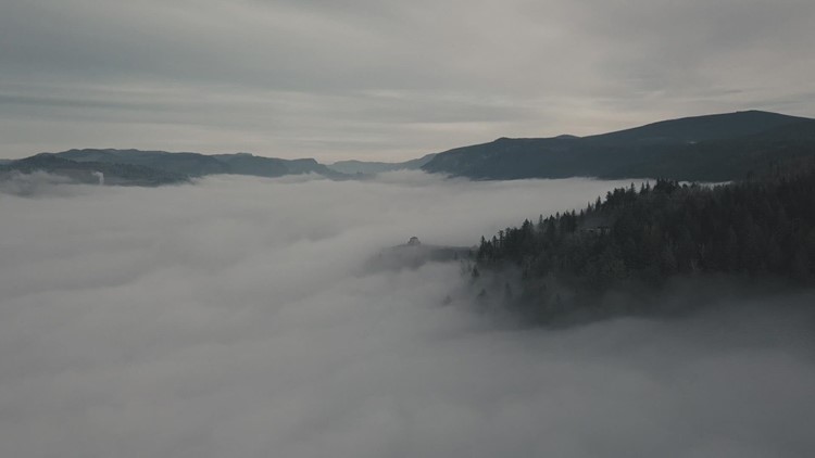 Weather IQ: How Fog Forms