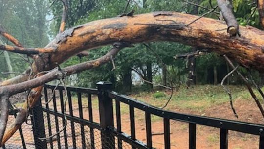 A List Of Storm Damage Caused By Ian In The Carolinas | Wcnc.com