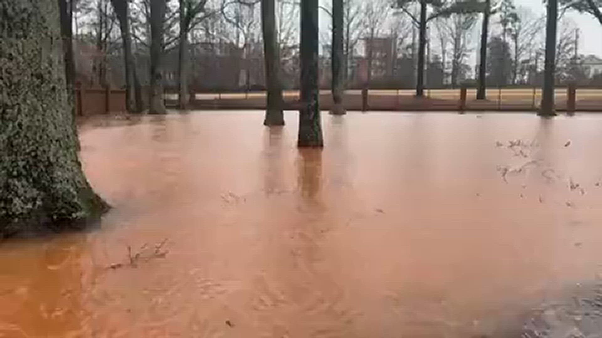 Backyard flooding in Charlotte
Credit: Amy Lehtonen