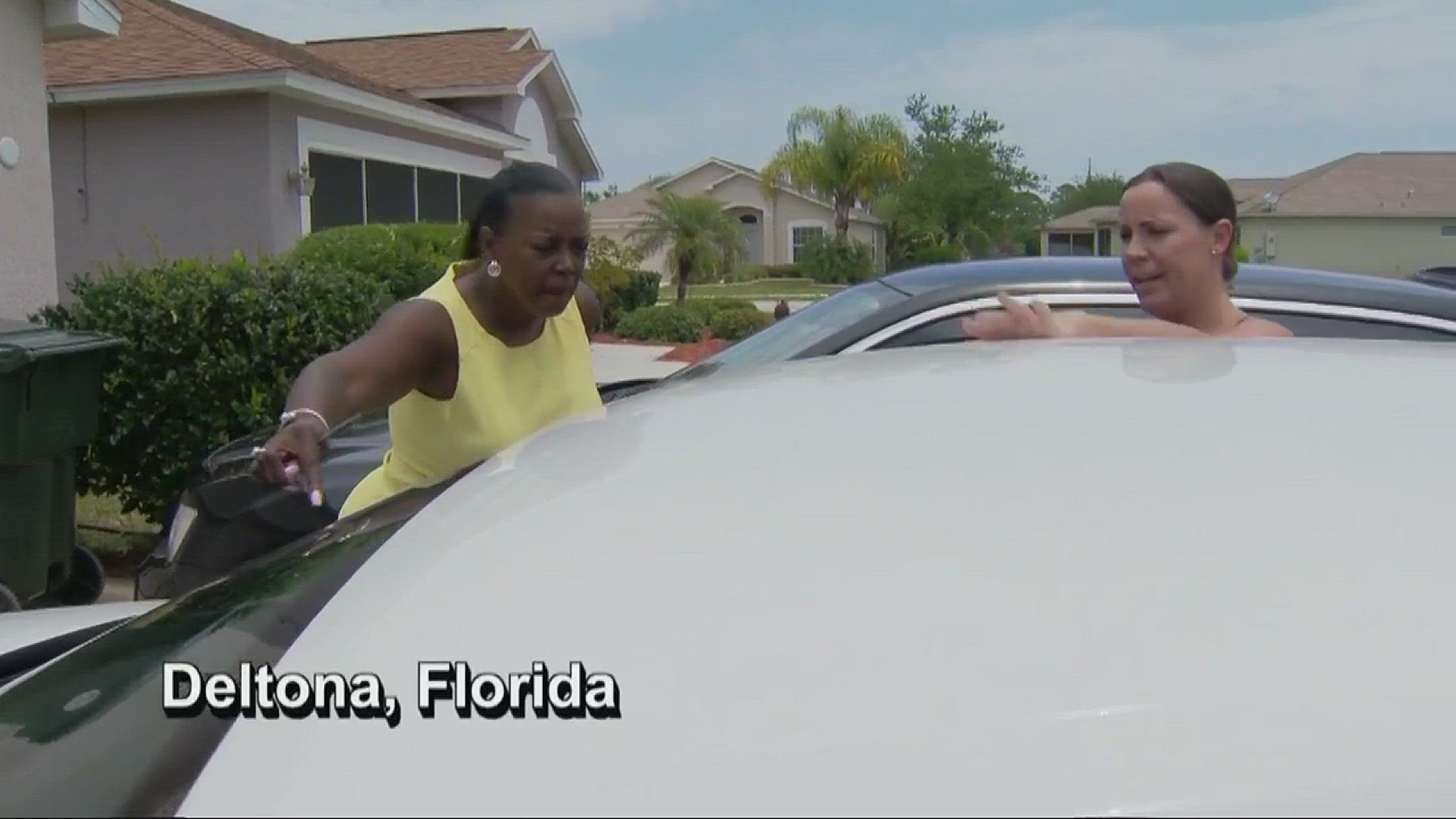 Truck strikes turtle on Florida highway, throwing it through windshield of woman's car.