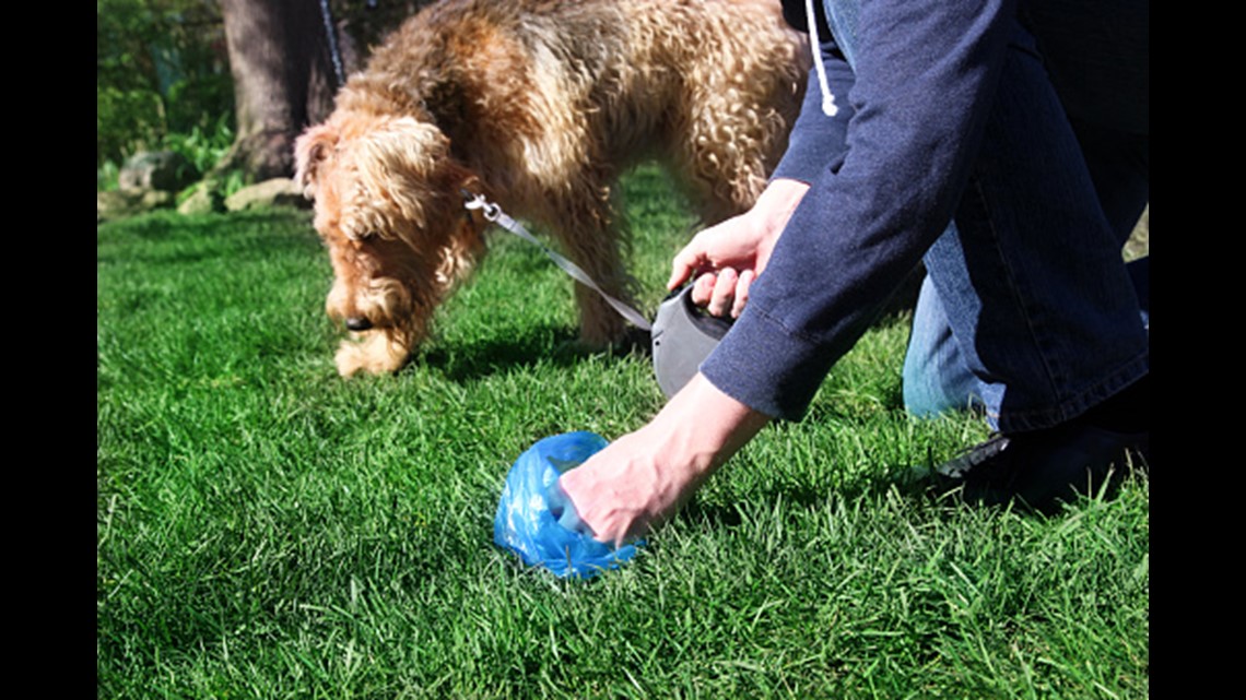 Community leaders continue cracking down on pet waste in Plaza Midwood | wcnc.com