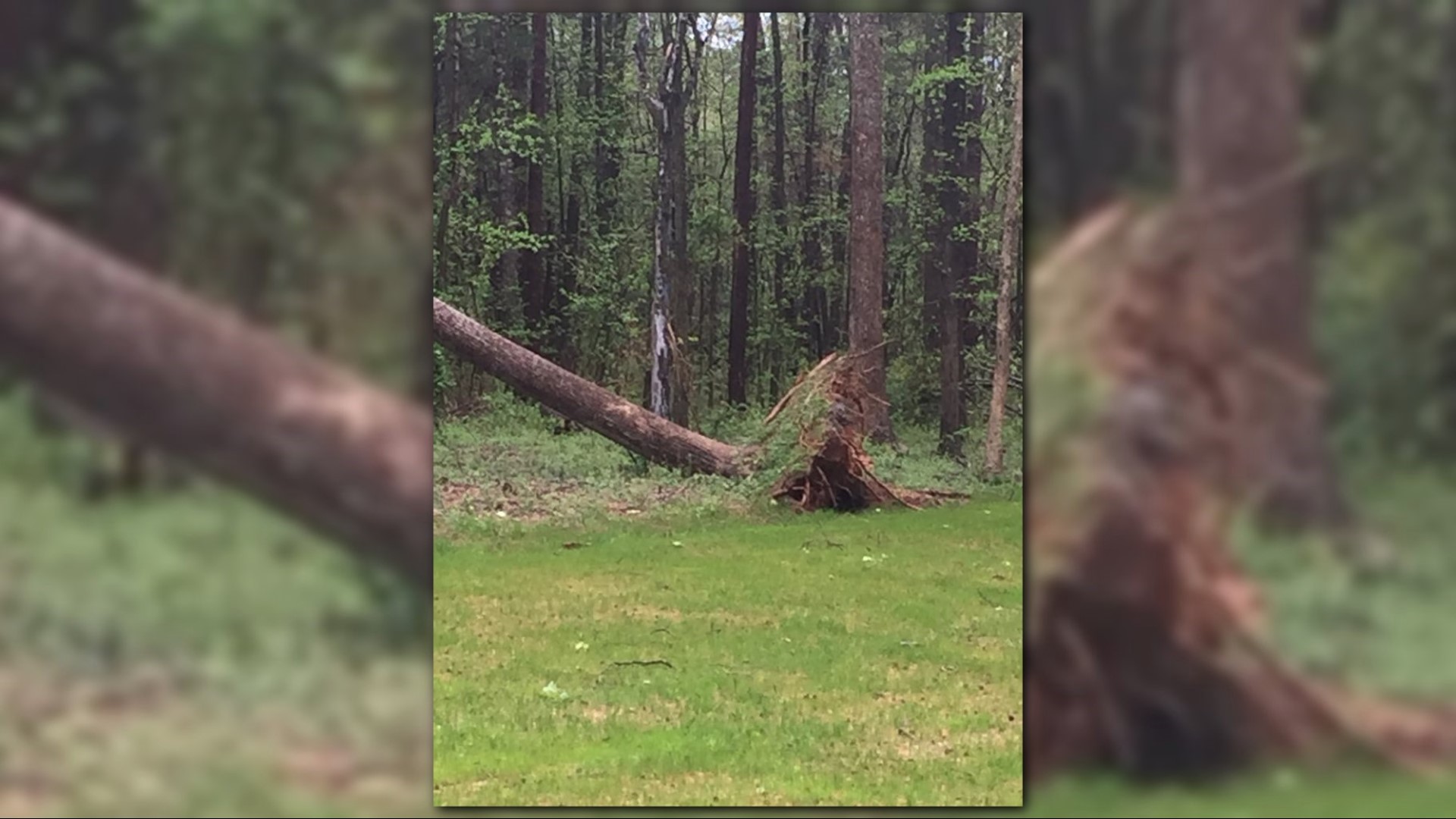 Severe storms damage homes and buildings across the Carolinas | wcnc.com