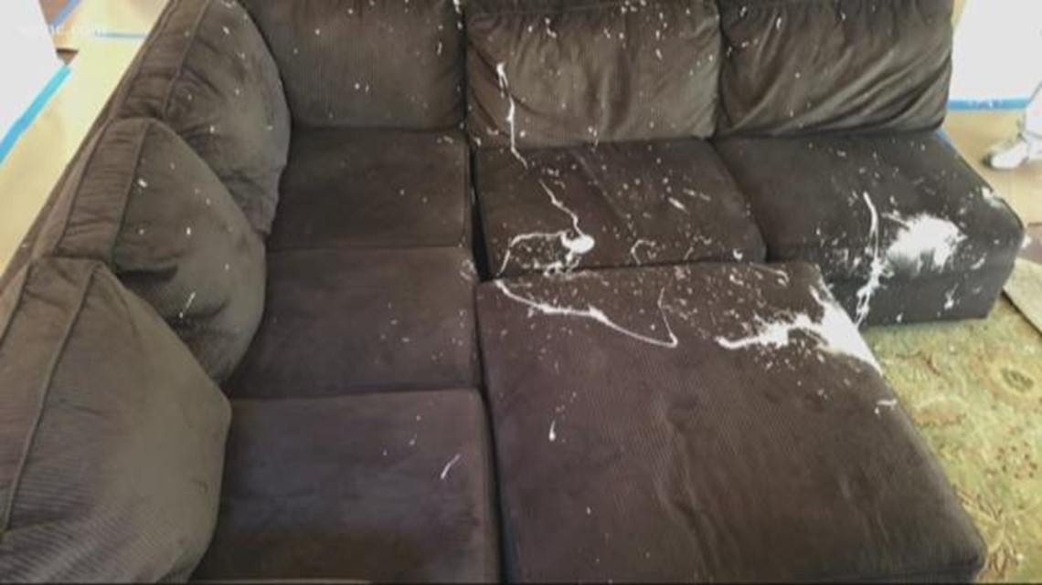 Woman says contractor ruined furniture, lied about insurance to cover