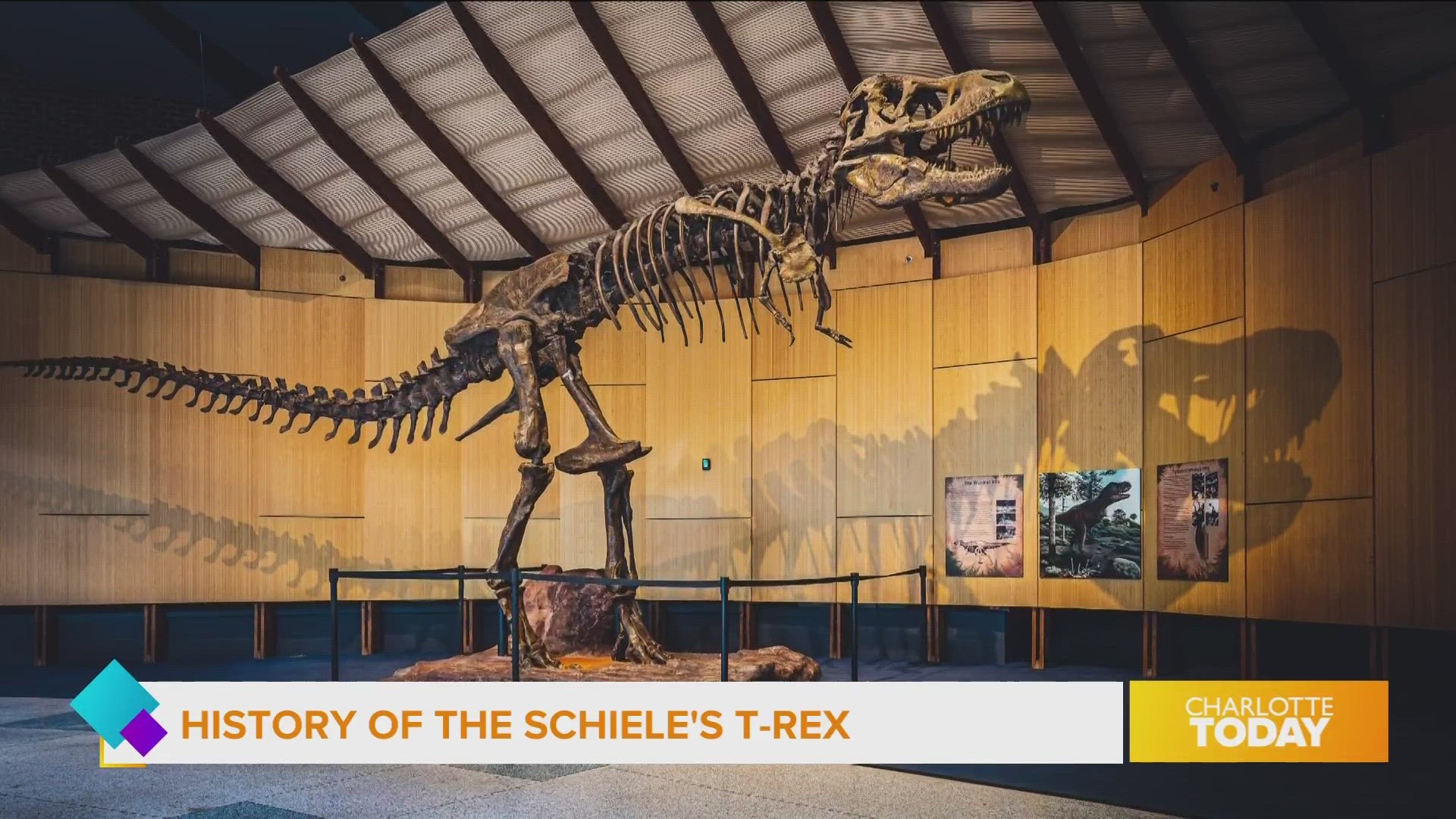 Come visit The Schiele Museum - T-Rex exhibit