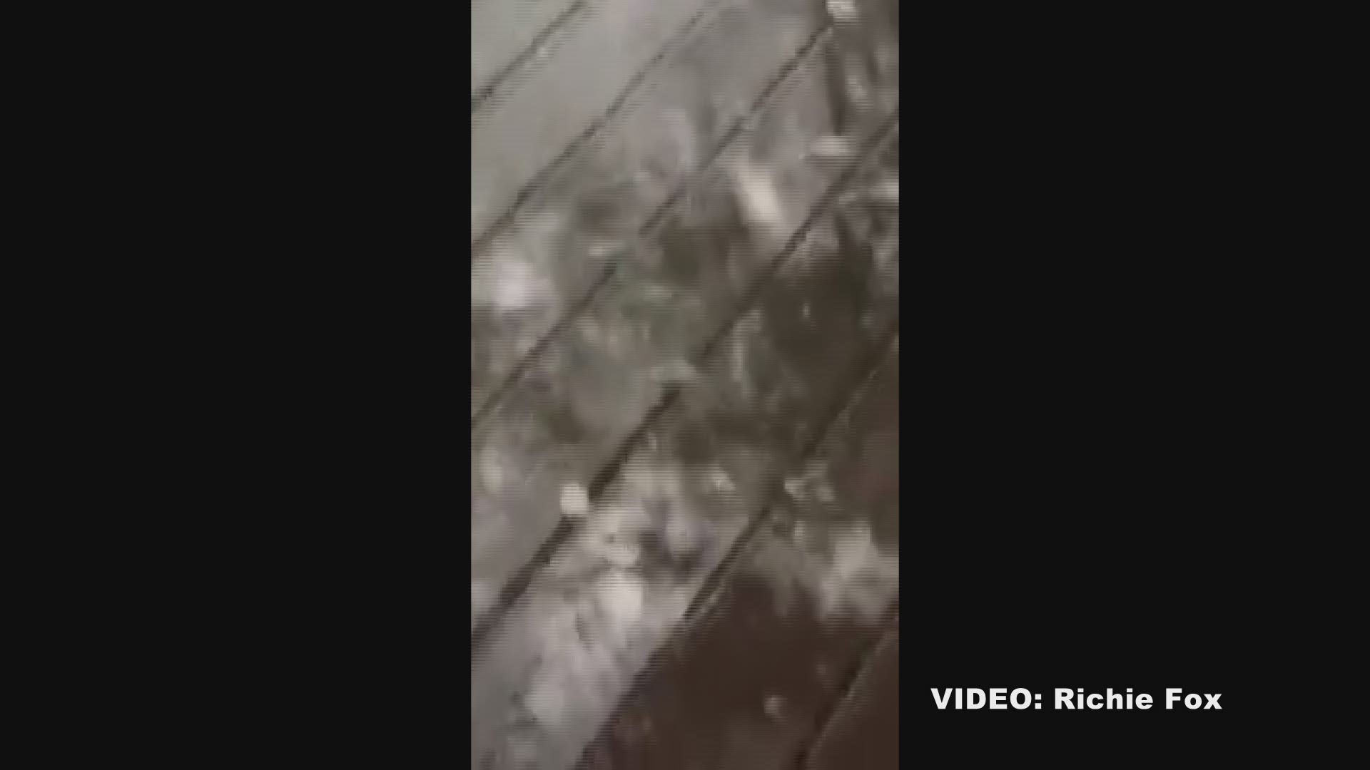 A viewer shared a video of large hail dropping into Lake Hickory in Alexander County.