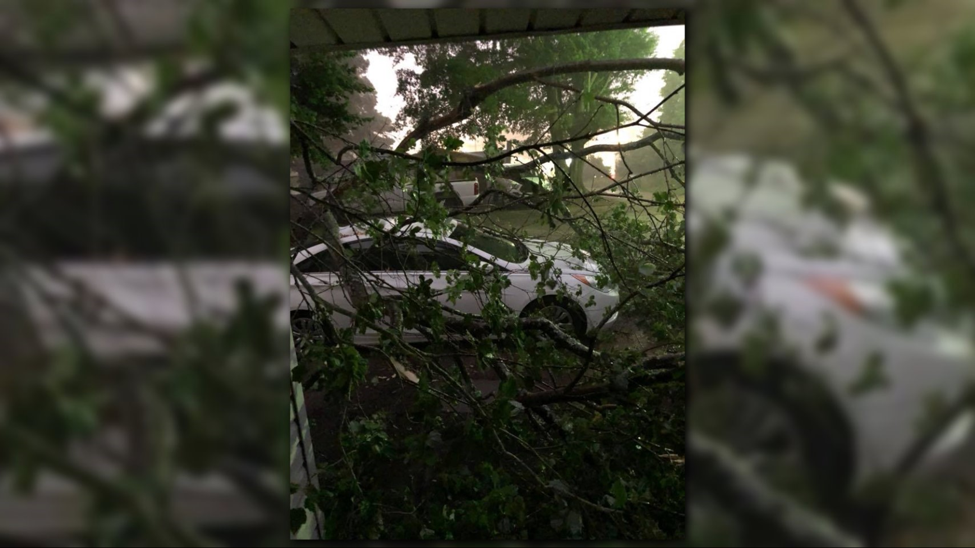 Strong storms down trees, causing power outages across the Charlotte ...