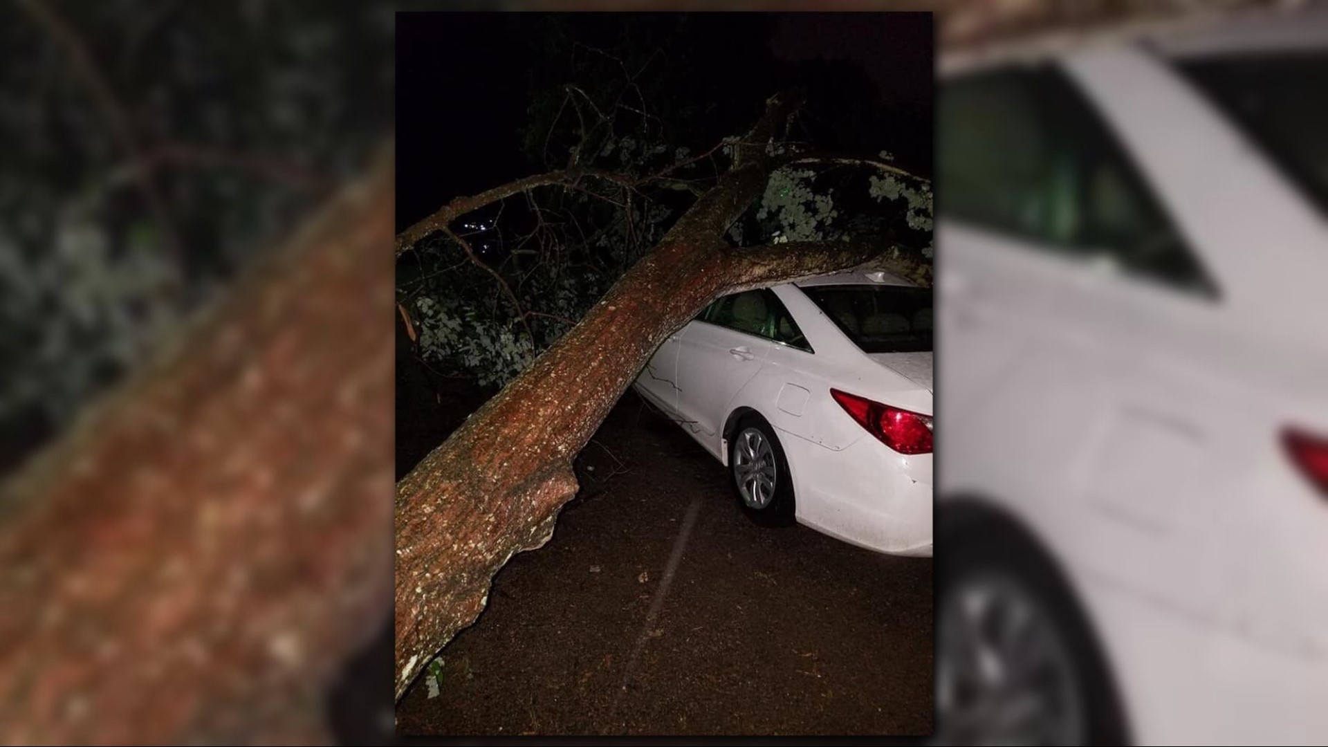 Strong storms down trees, causing power outages across the Charlotte ...