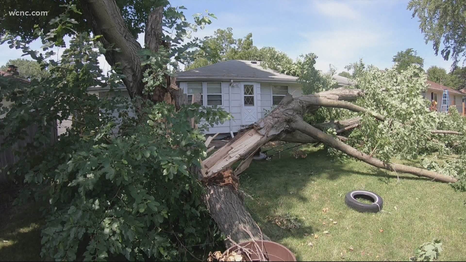 Iisha Scott and Chris Mulcahy discuss the dangers of high winds, and how you can prepare for their impacts.