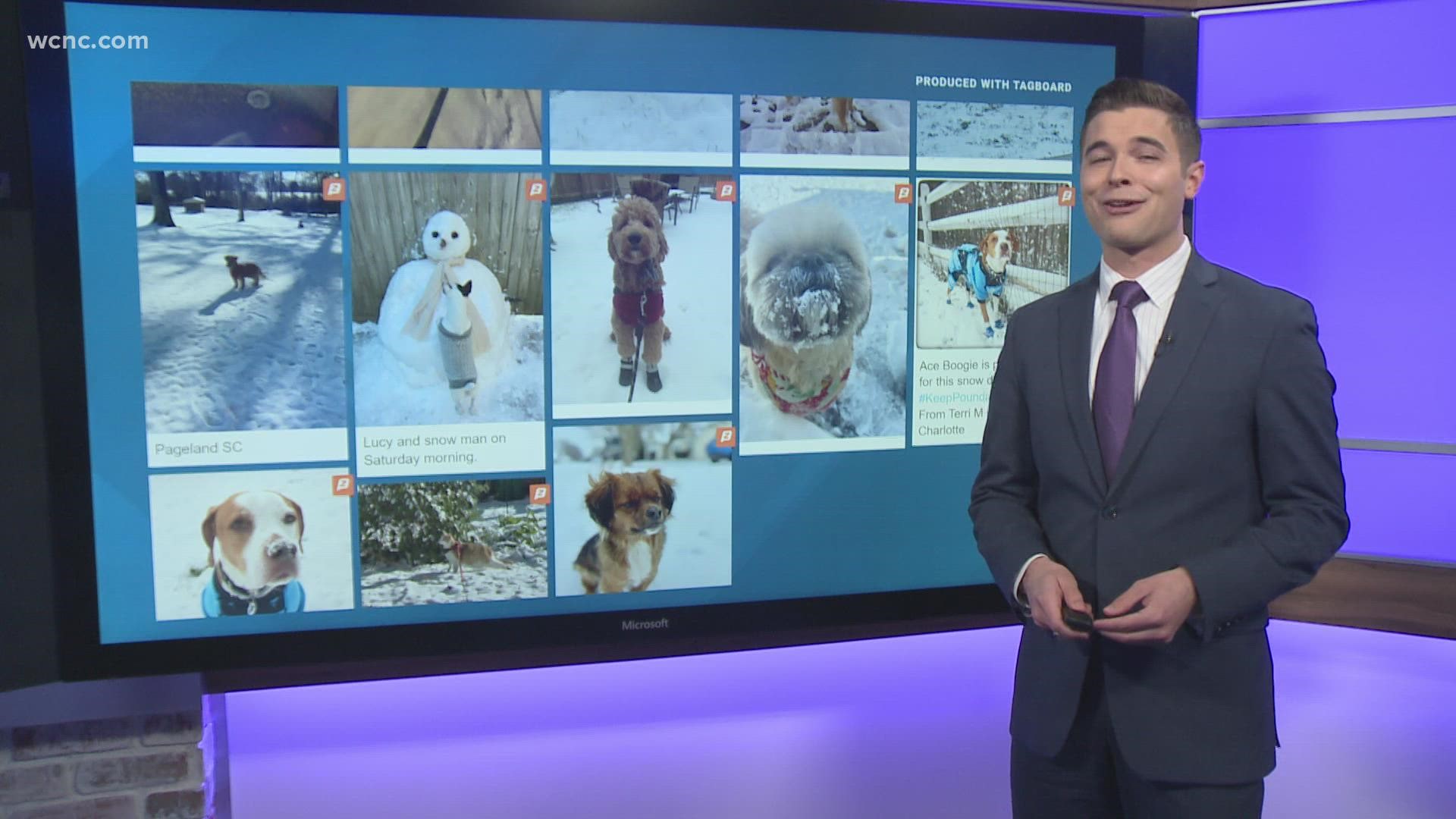 WCNC Charlotte viewers showed us how their furry friends enjoyed the snow!