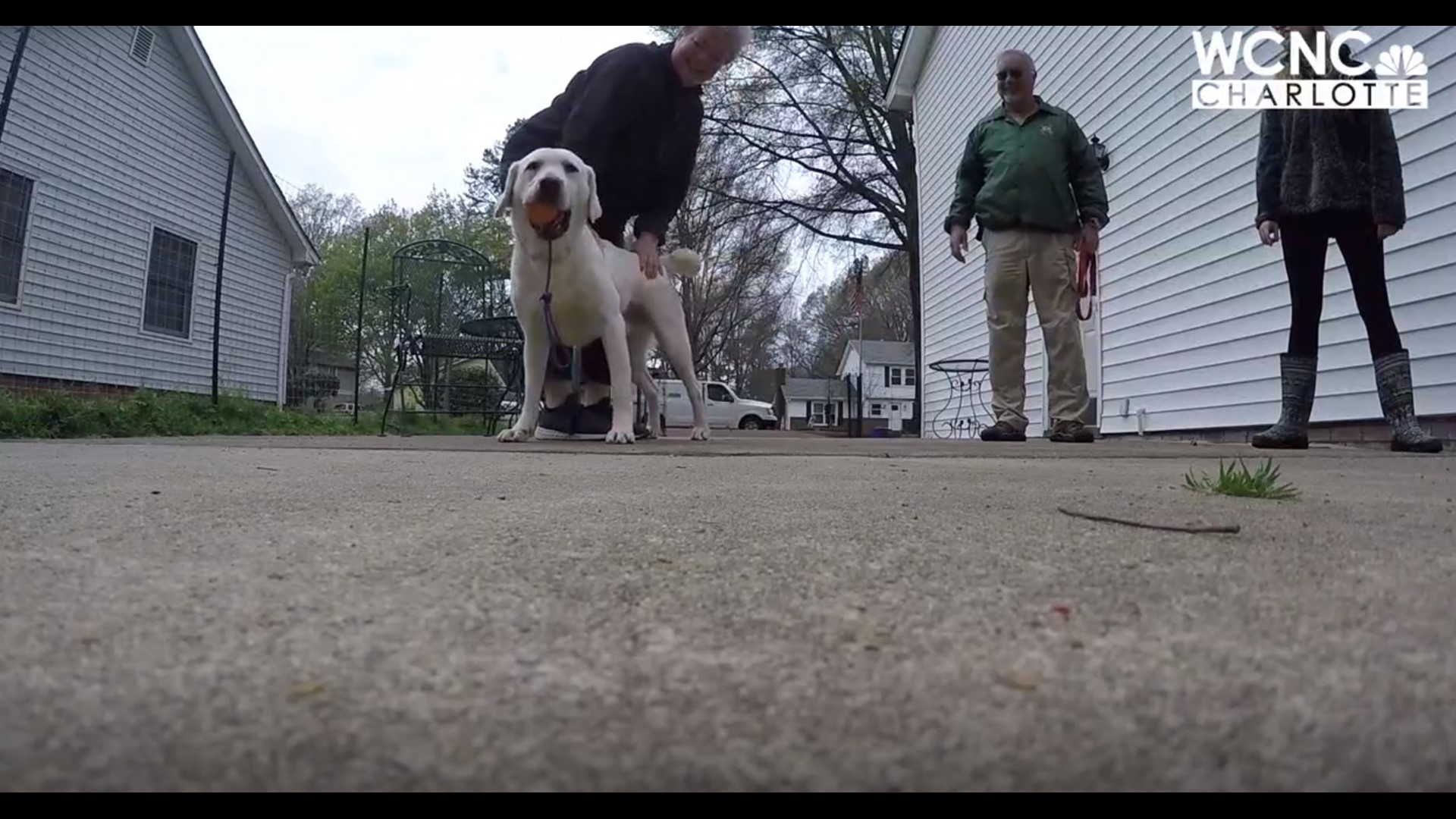 Local nonprofit donates service dogs to veterans