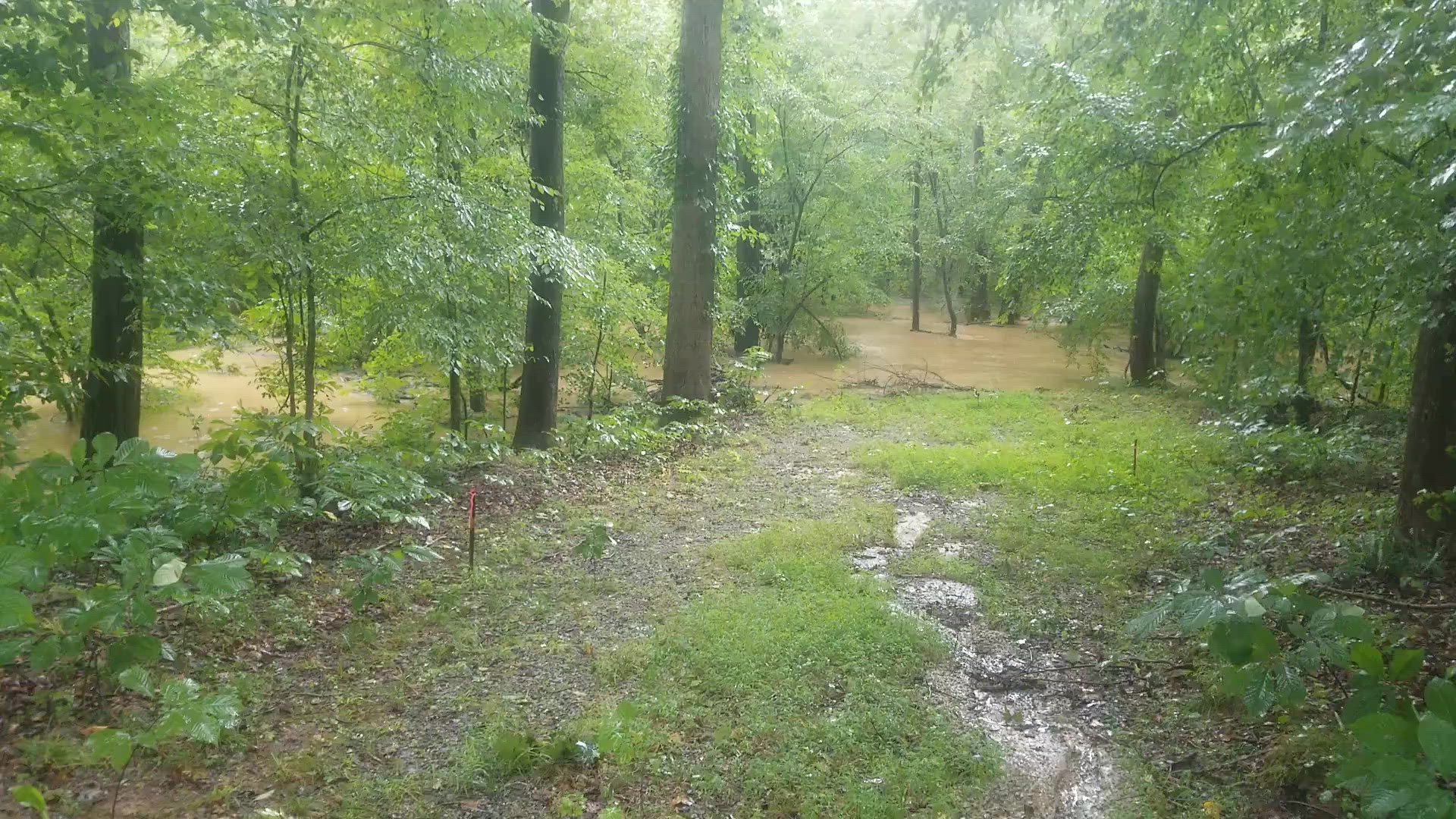 Coldwater Creek Preserve in Concord, NC
Credit: Paul Caloia