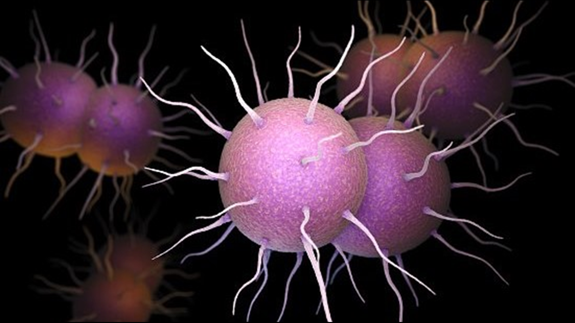 Sexually Transmitted Diseases Surge For The 4th Straight Year Cdc Reports 