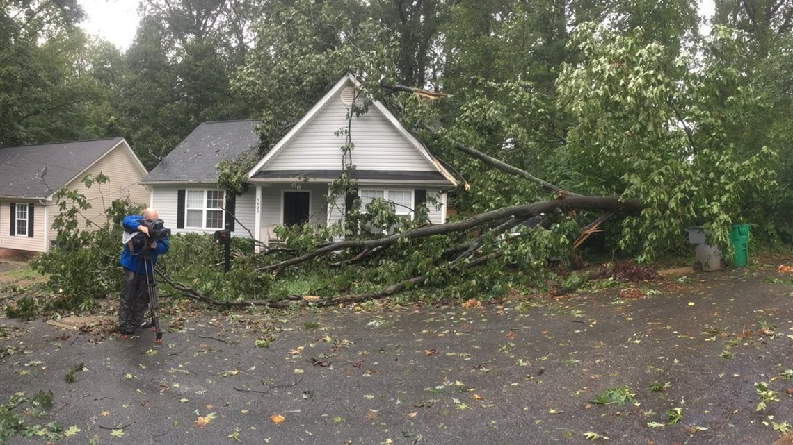 What to do if a tree falls on your house or car