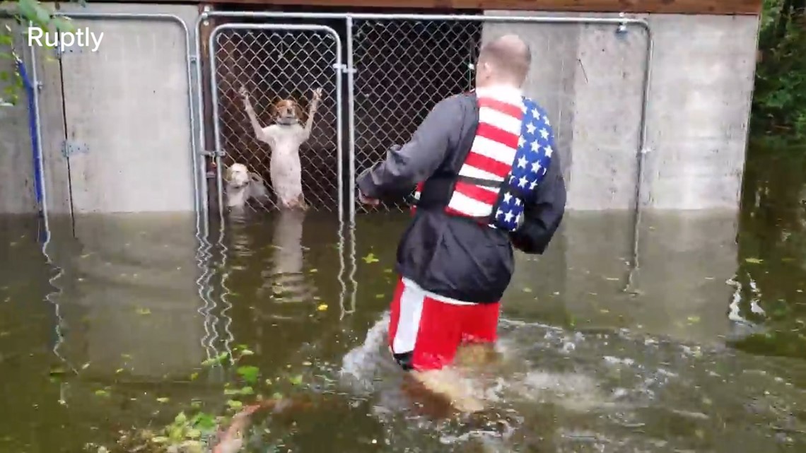 Dogs rescued from locked kennel surrounded by rising Florence