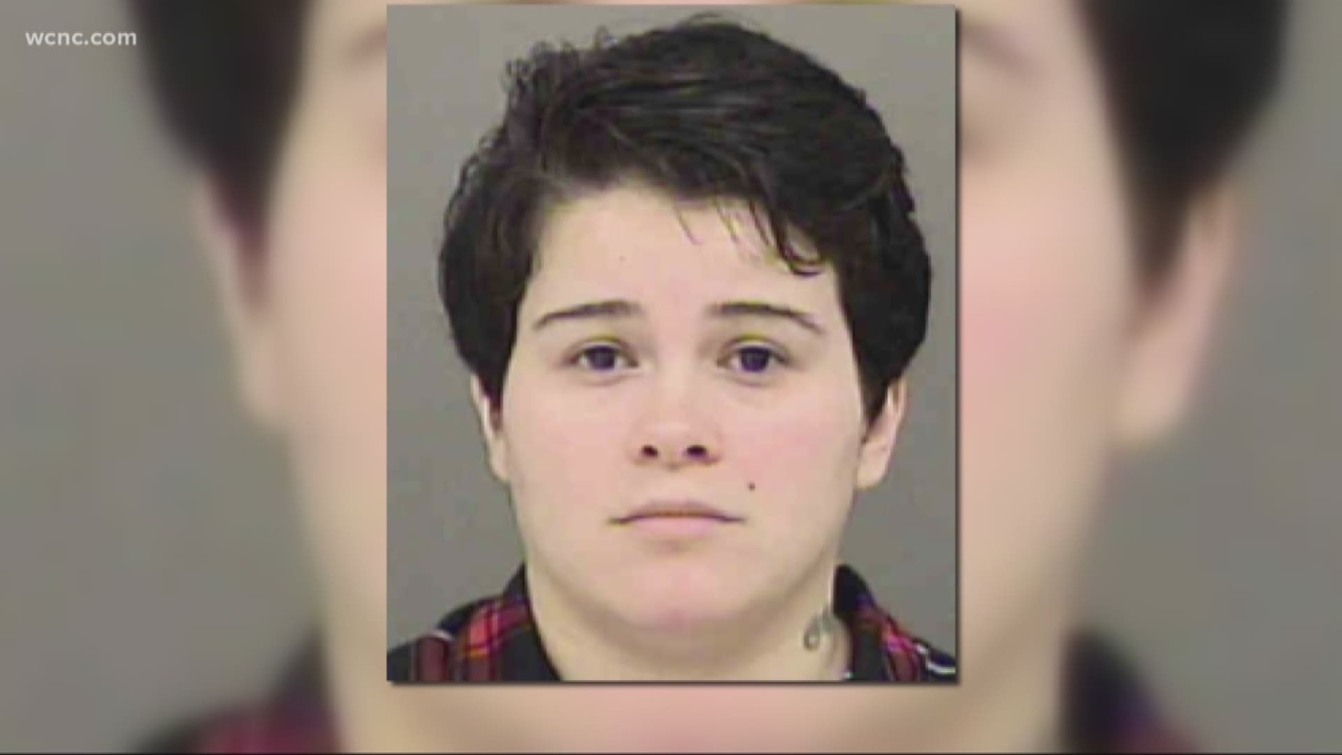 Police: Mom confronts bullies at school with a knife
