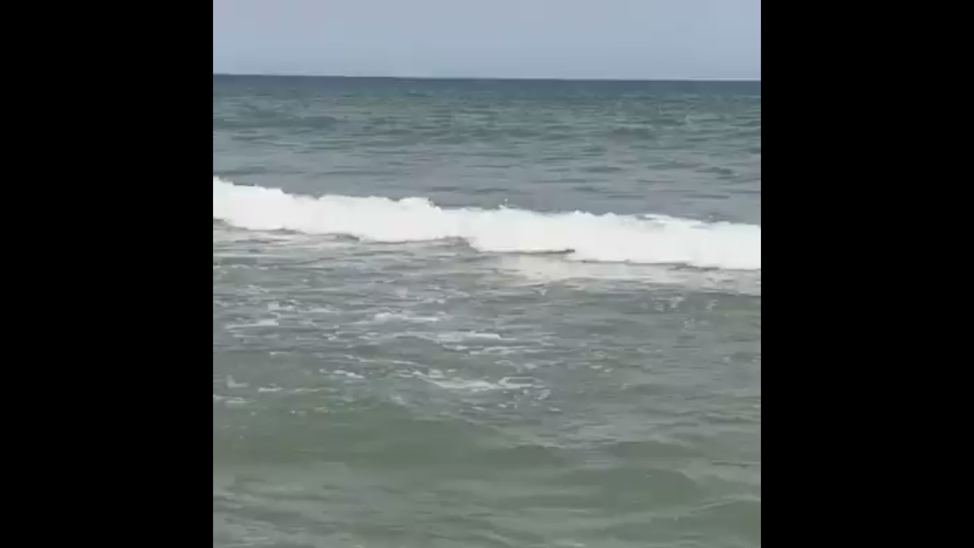 A South Carolina woman spotted a large shark just off the shore at Myrtle Beach State Park.