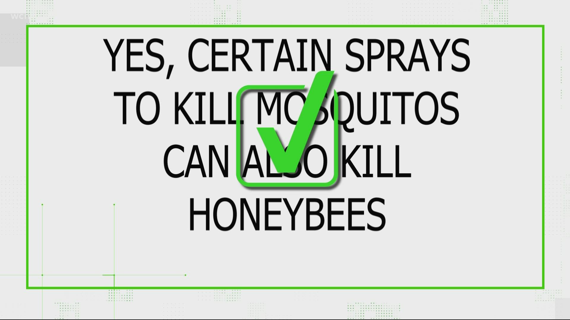 If you're spraying your yard for mosquitos, you could be inadvertently hurting other insects.