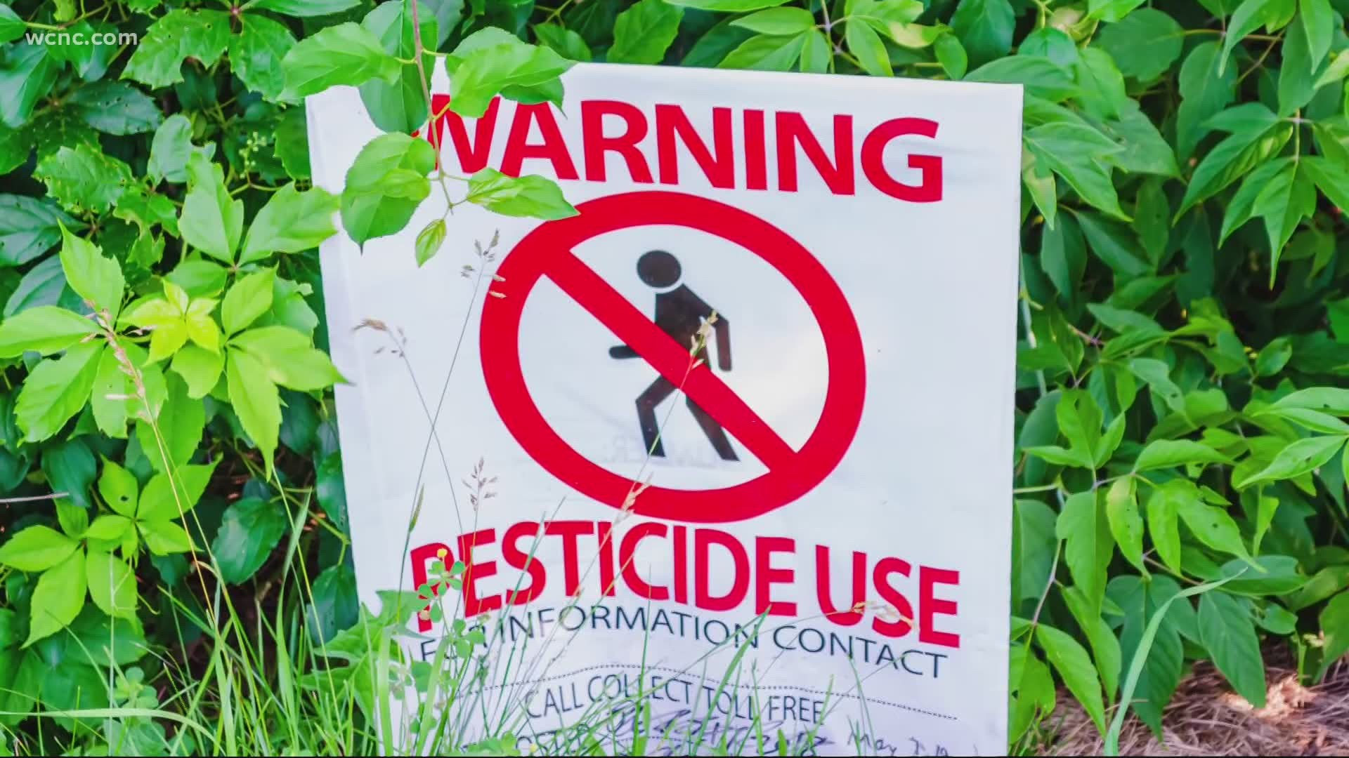 Pesticides should not be your first line of defense. Here are some other options