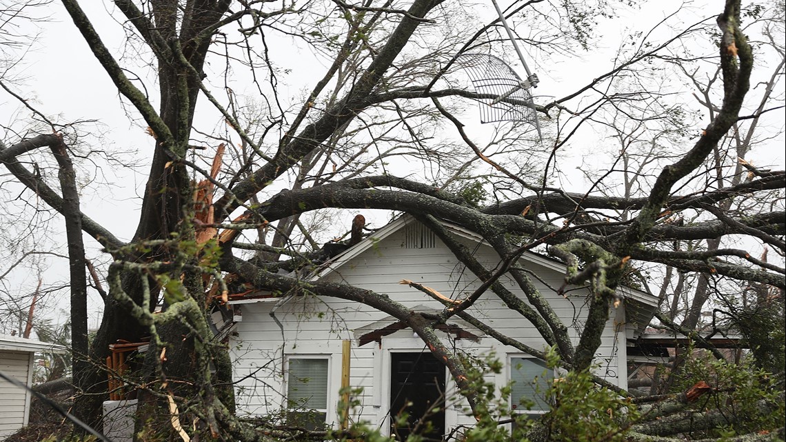 What to do if a tree falls on your home or car during a storm