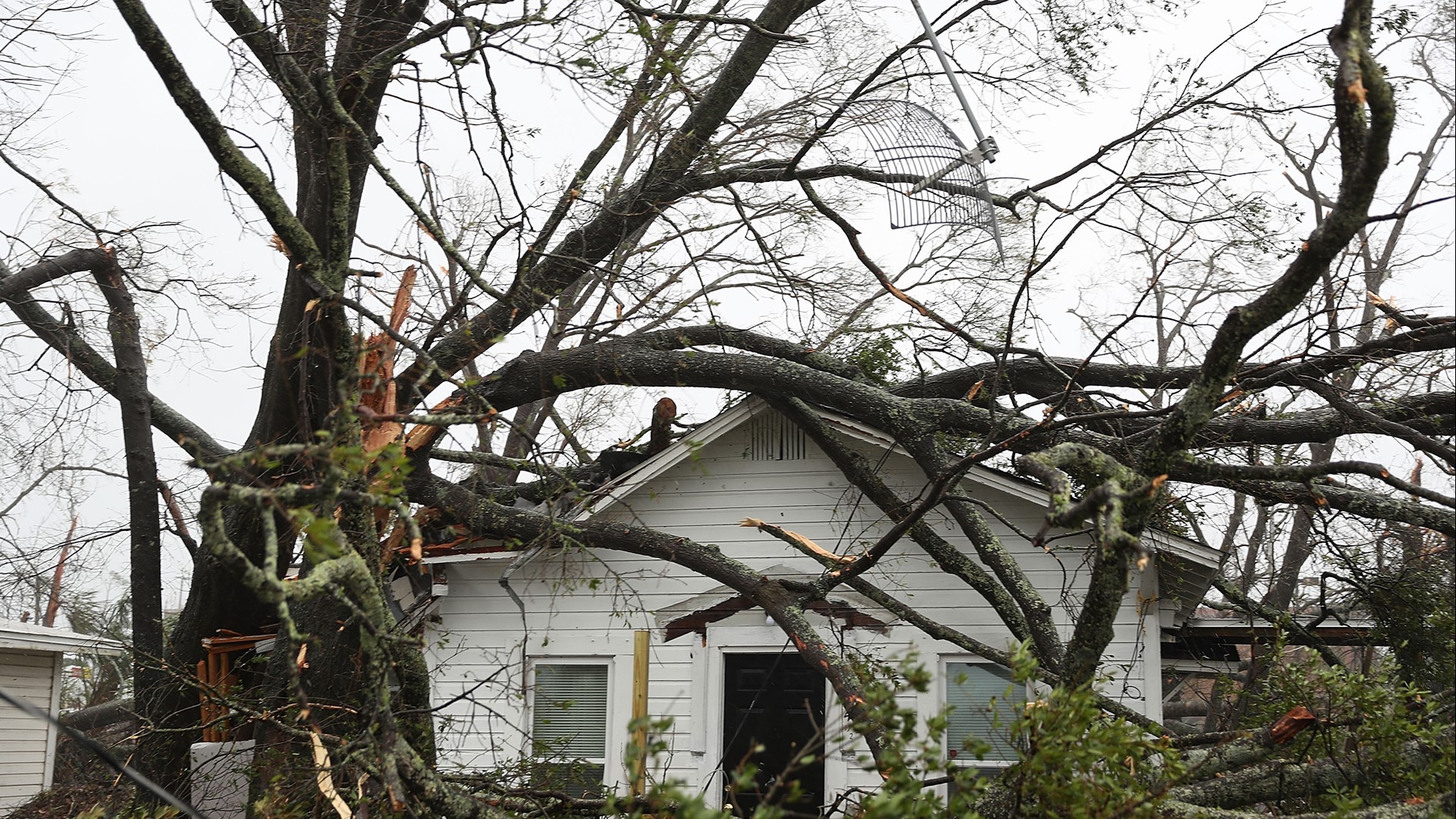 What to do if a tree falls on your home or car during a storm | wcnc.com